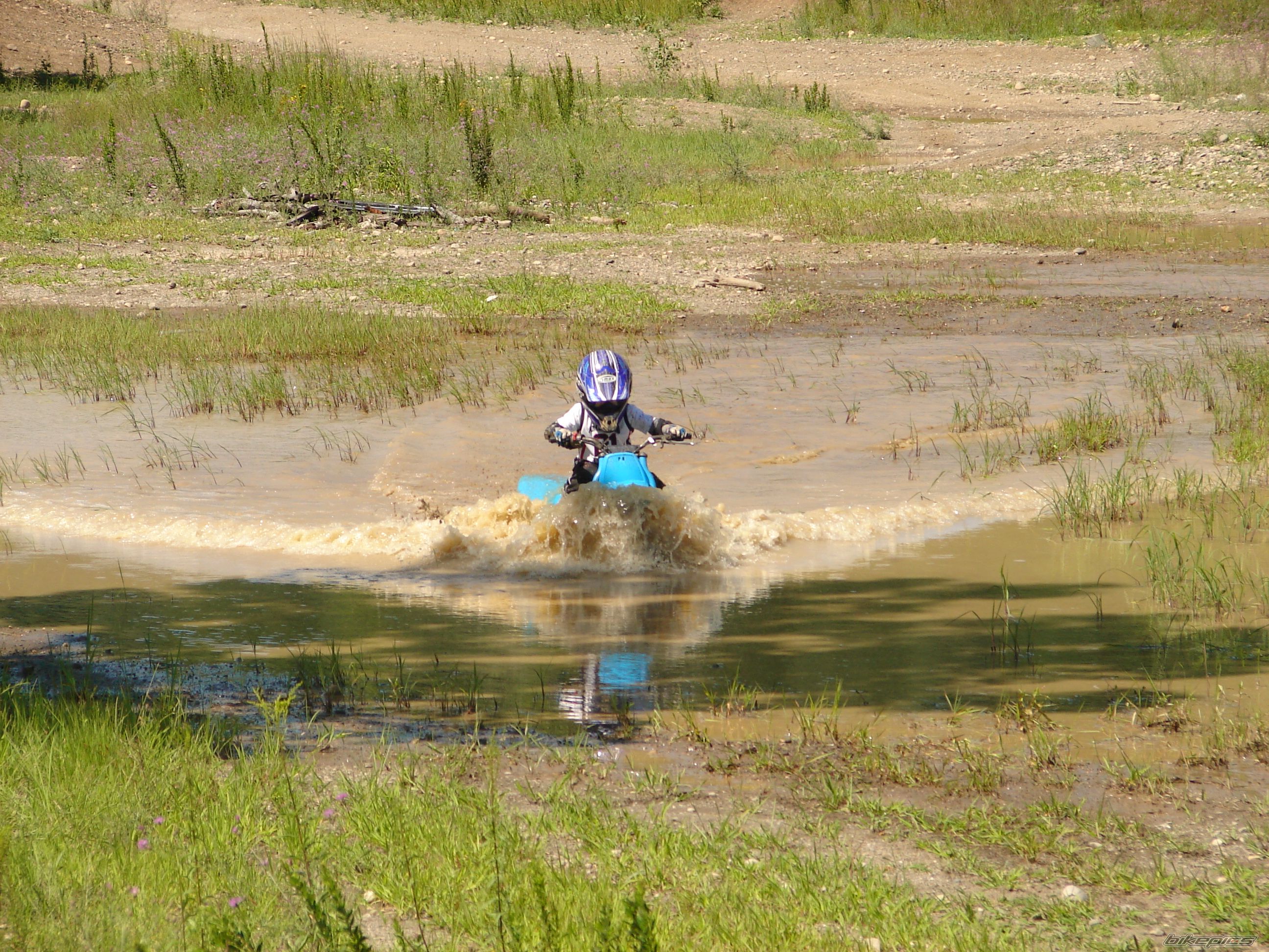 1996 YAMAHA PW 50 | Picture 1307649 motorcycle photo