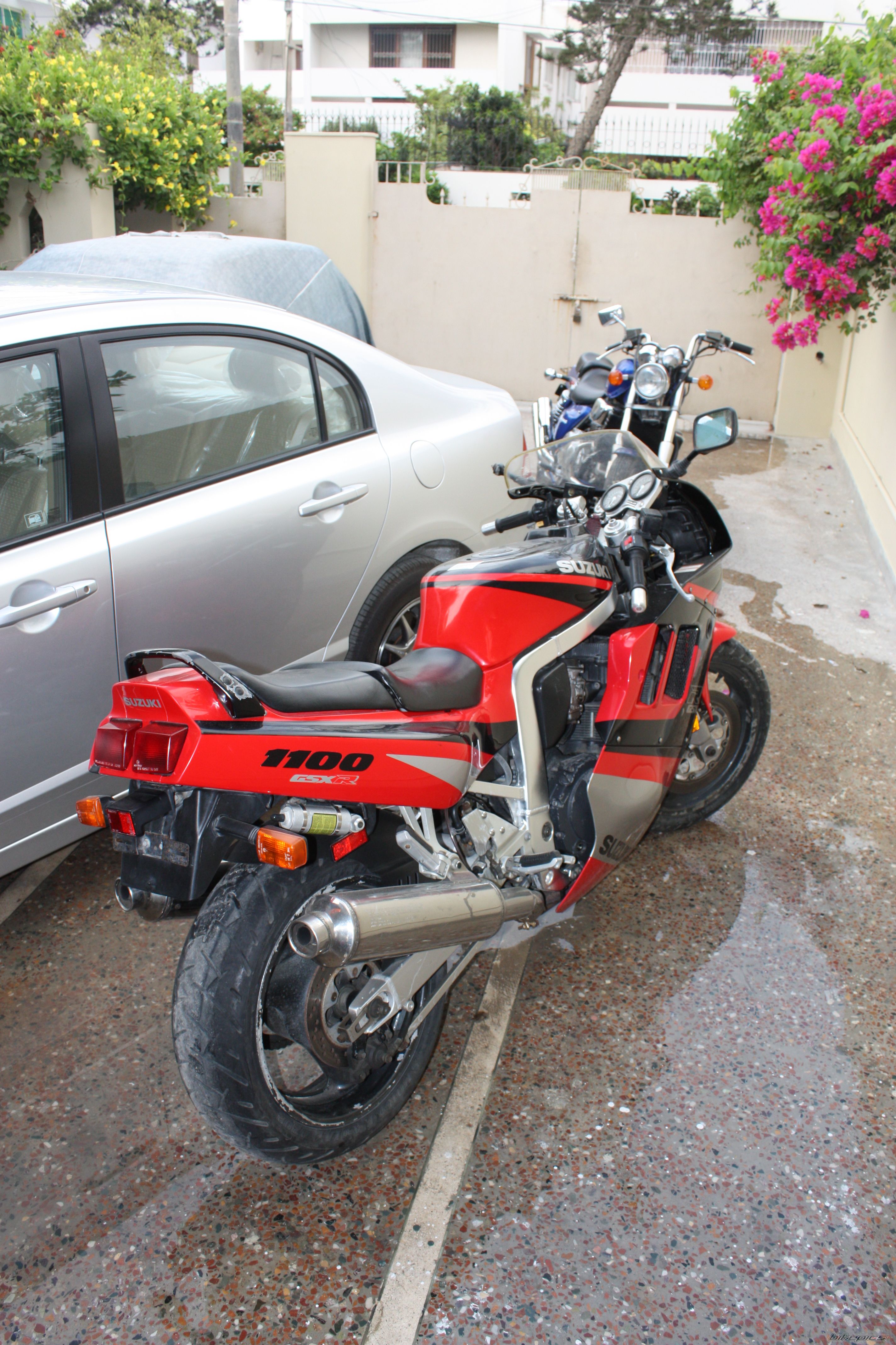 1992 SUZUKI GSX R 1100 | Picture 1307818 motorcycle photo