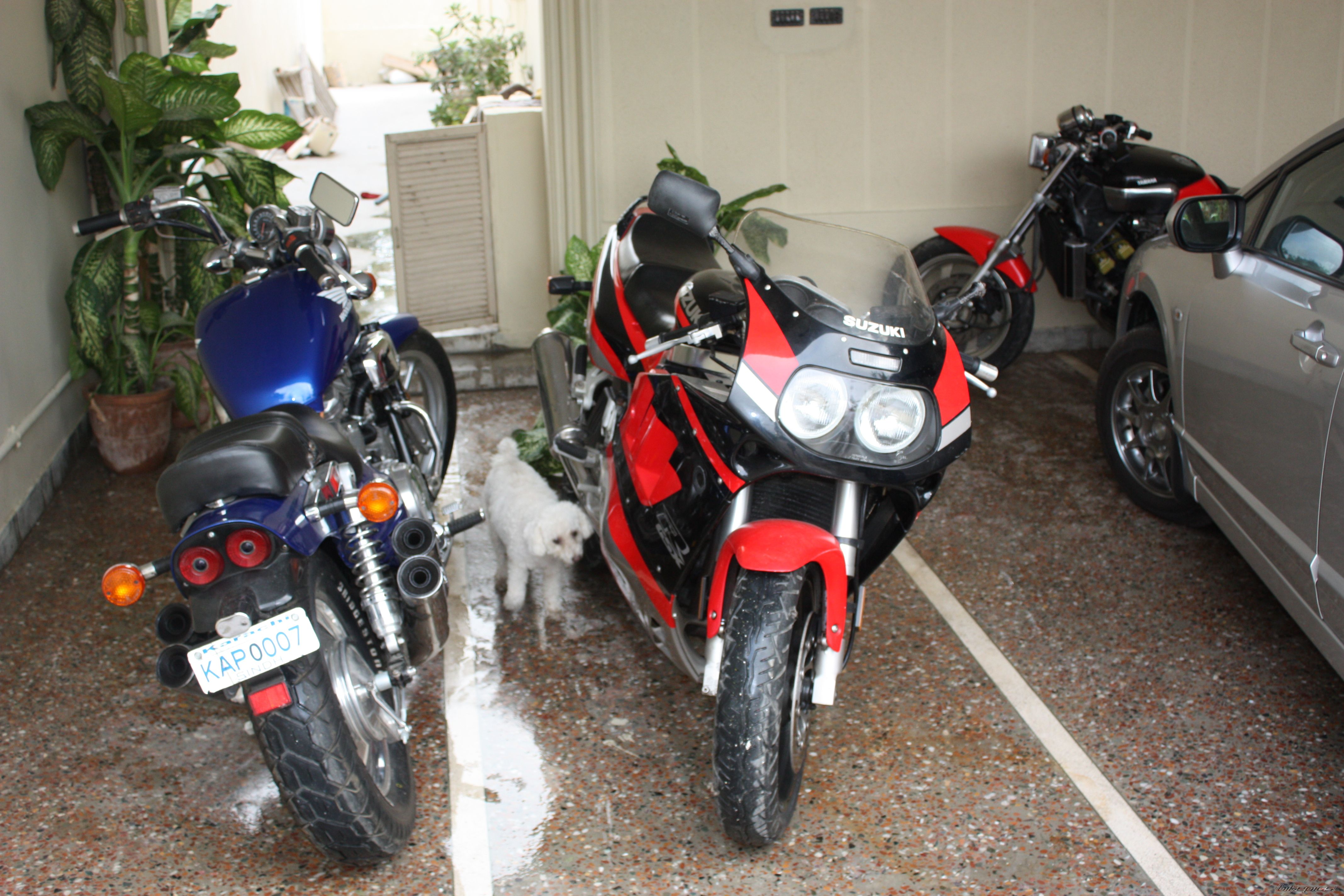 1992 SUZUKI GSX R 1100 | Picture 1307826 motorcycle photo