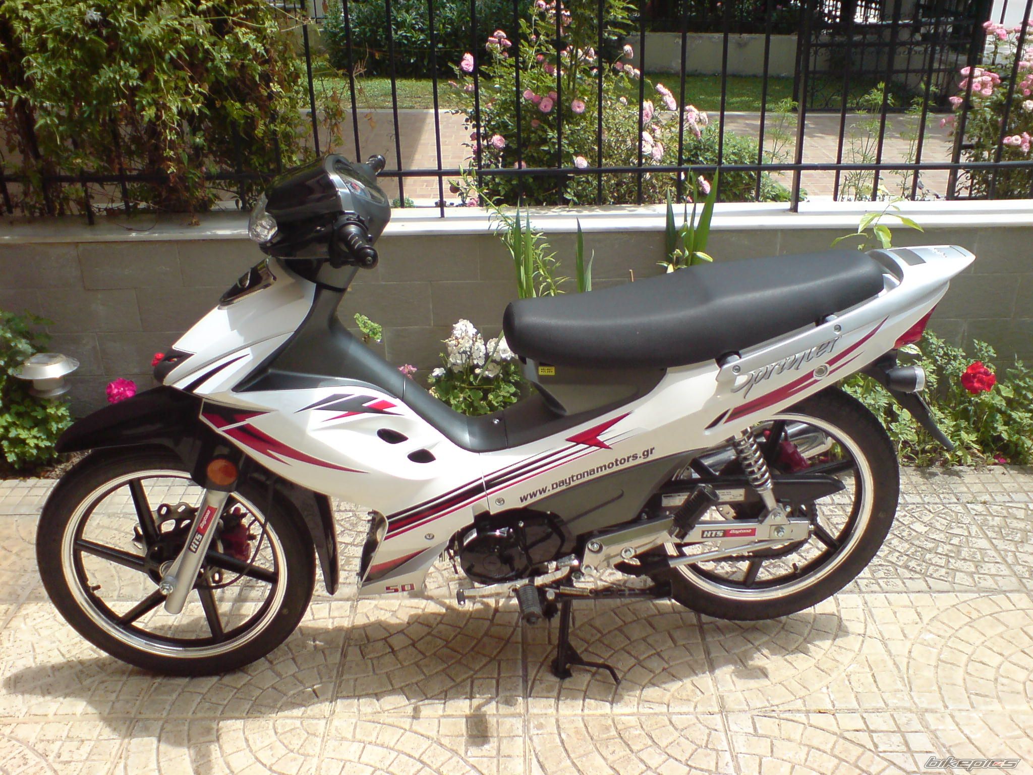 2008 DAYTONA DV 50R | Picture 1307831 motorcycle photo