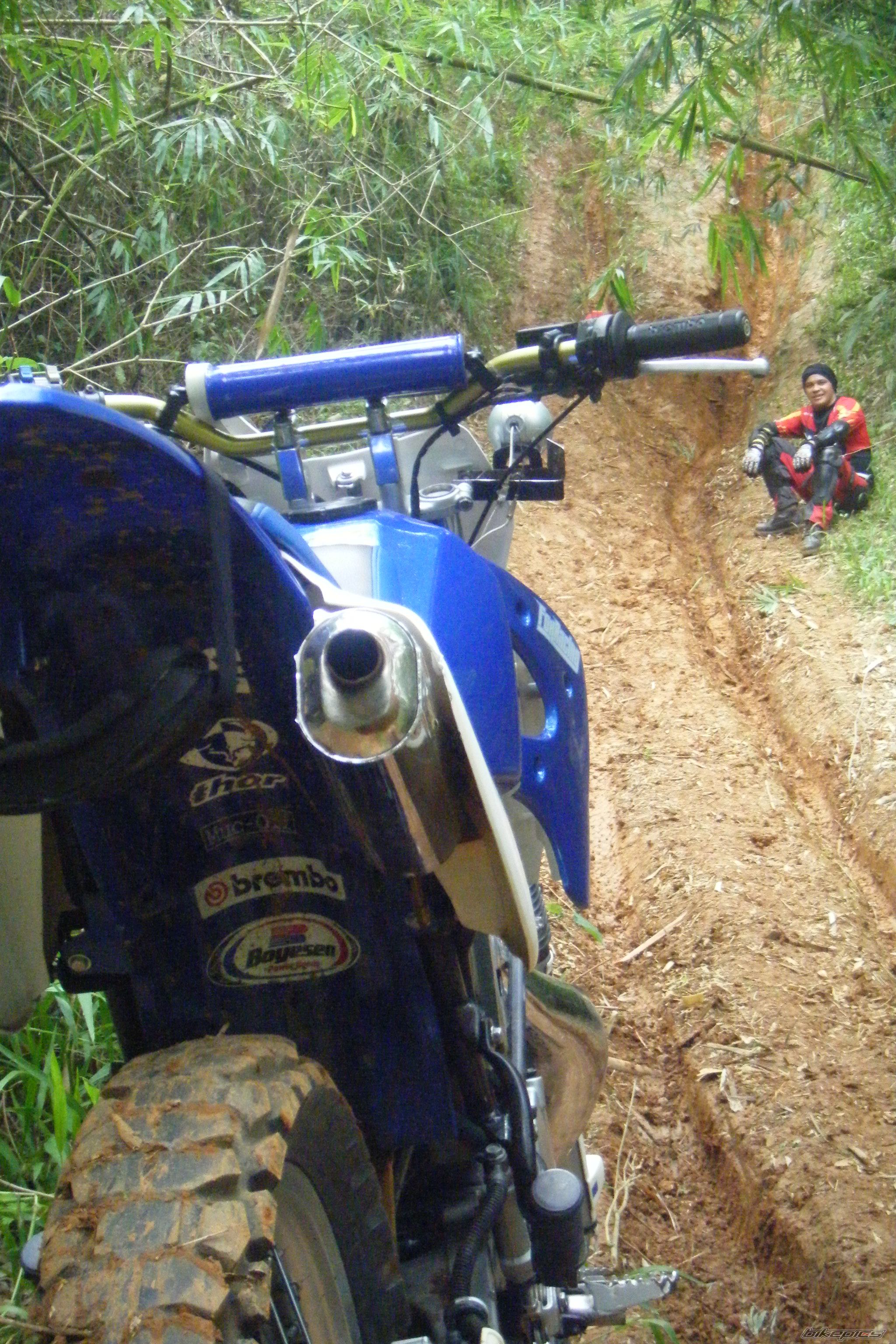 2000 KAWASAKI KMX 125 | Picture 1308216 motorcycle photo