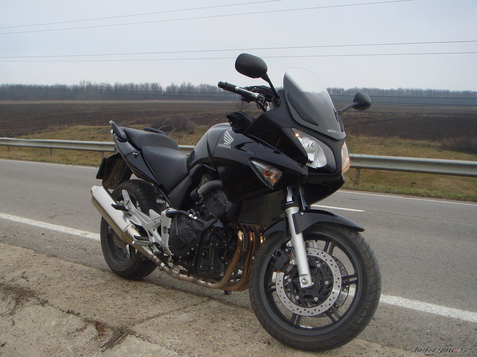 2007 HONDA CBF 600 | Picture 1308239 motorcycle photo
