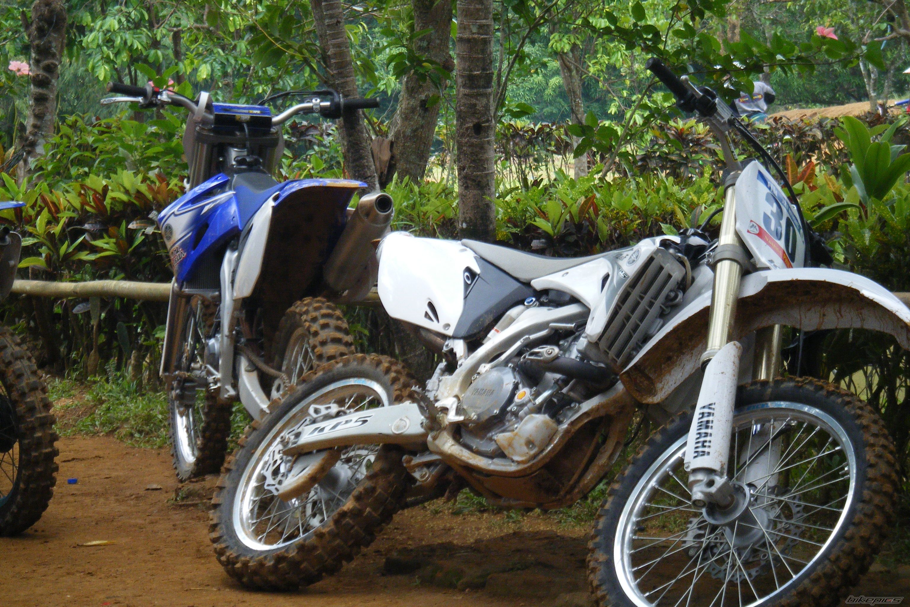 2000 KAWASAKI KMX 125 | Picture 1308266 motorcycle photo