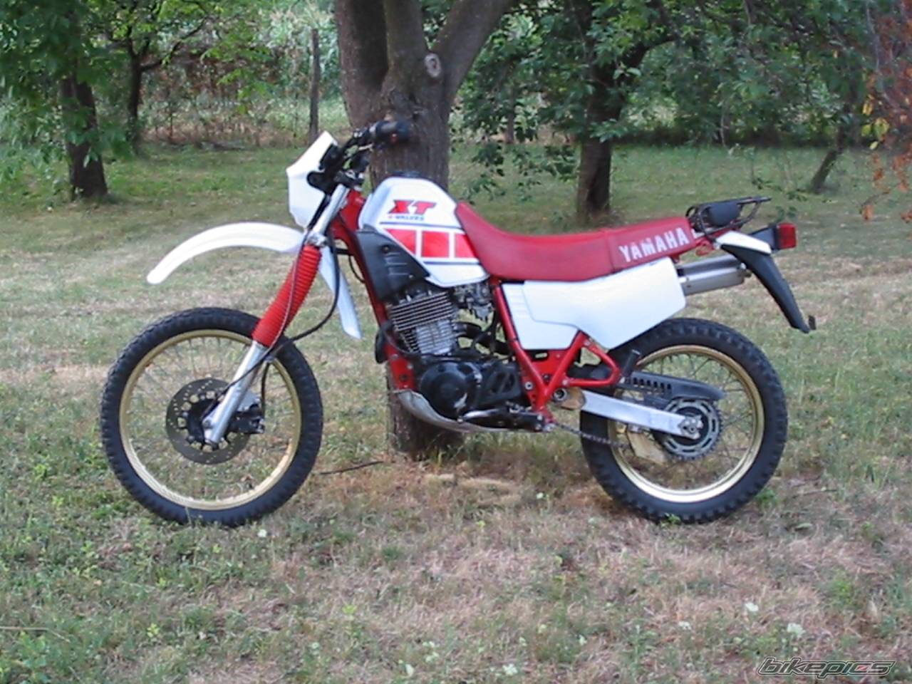 1986 YAMAHA XT 600 | Picture 130845 motorcycle photo