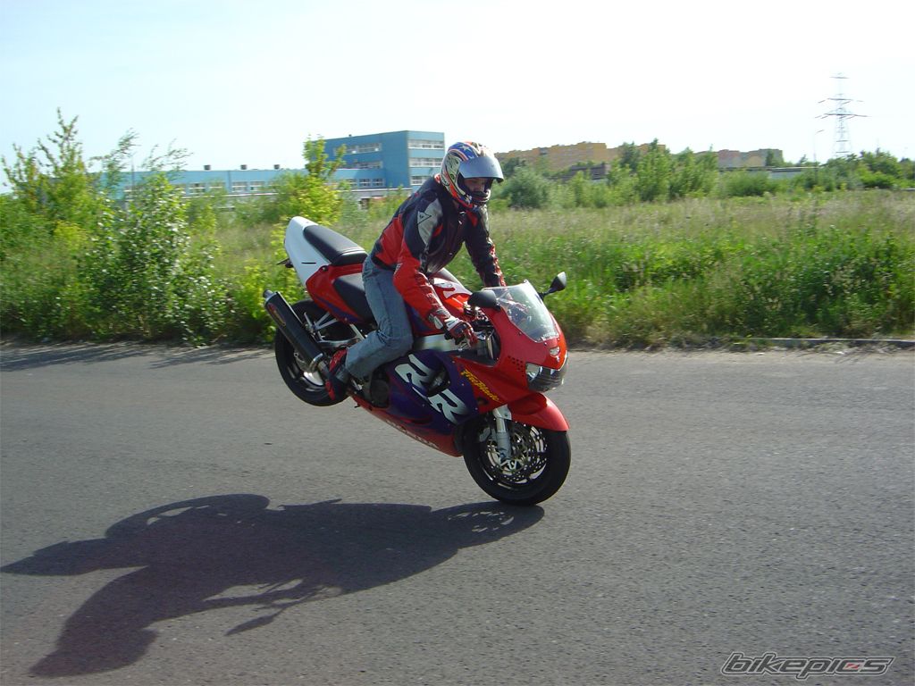 1998 HONDA CBR 900 | Picture 1308525 motorcycle photo