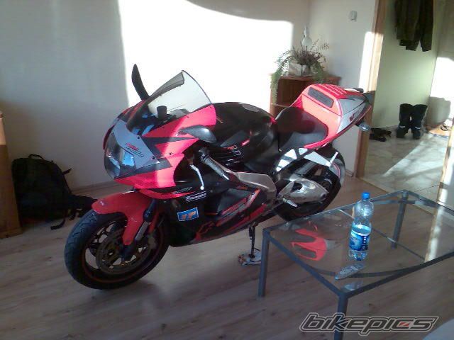 2001 APRILIA RSV 1000 MILLE | Picture 1308621 motorcycle photo