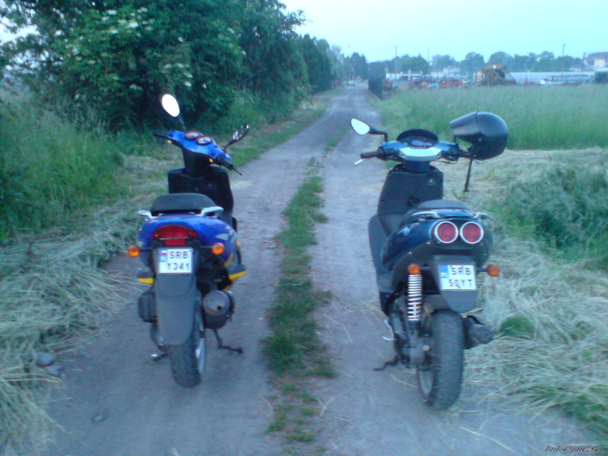 2000 APRILIA SR 50 | Picture 1308790 motorcycle photo