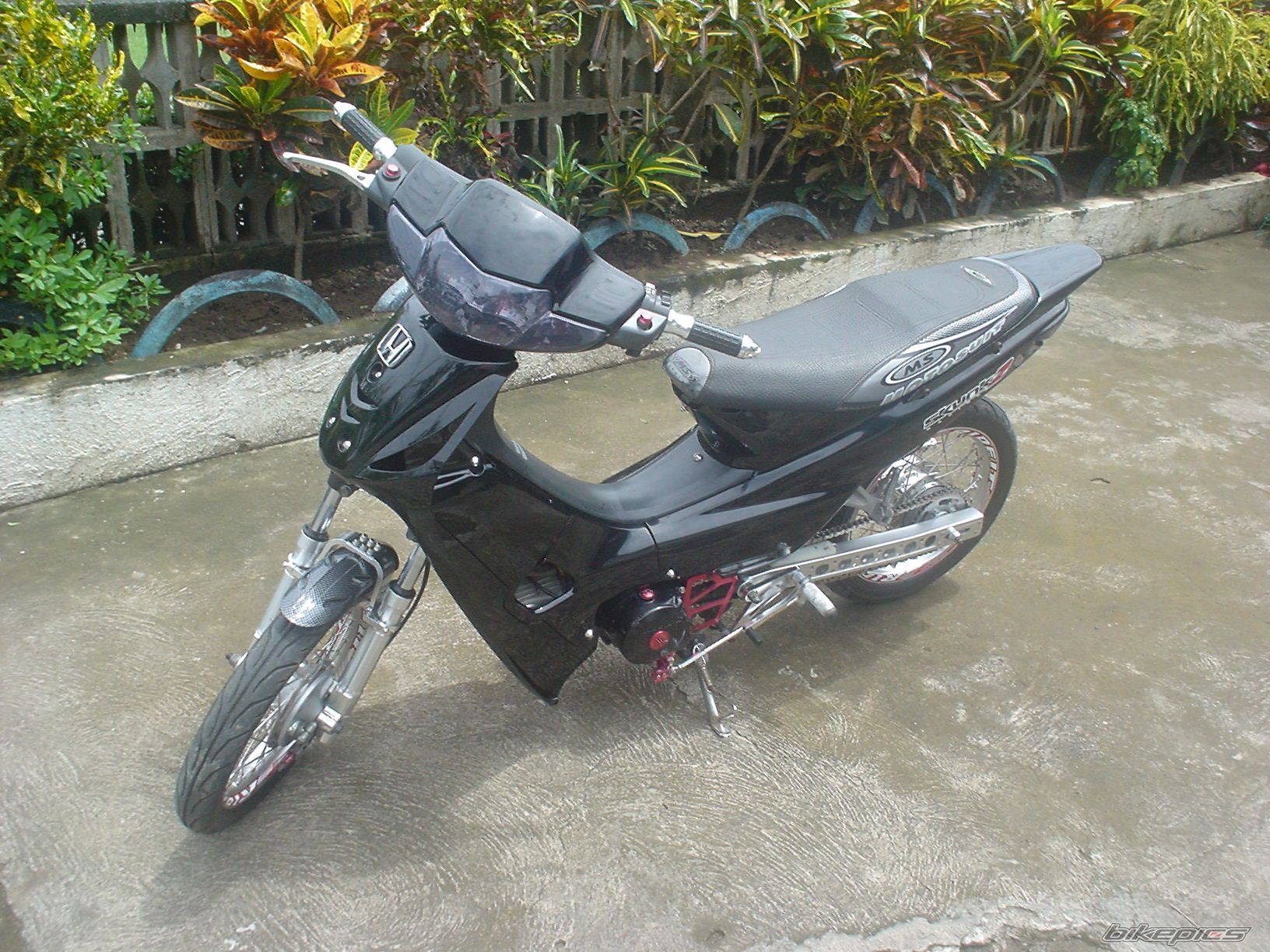 2004 HONDA WAVE ALPHA 100 | Picture 1310313 motorcycle photo