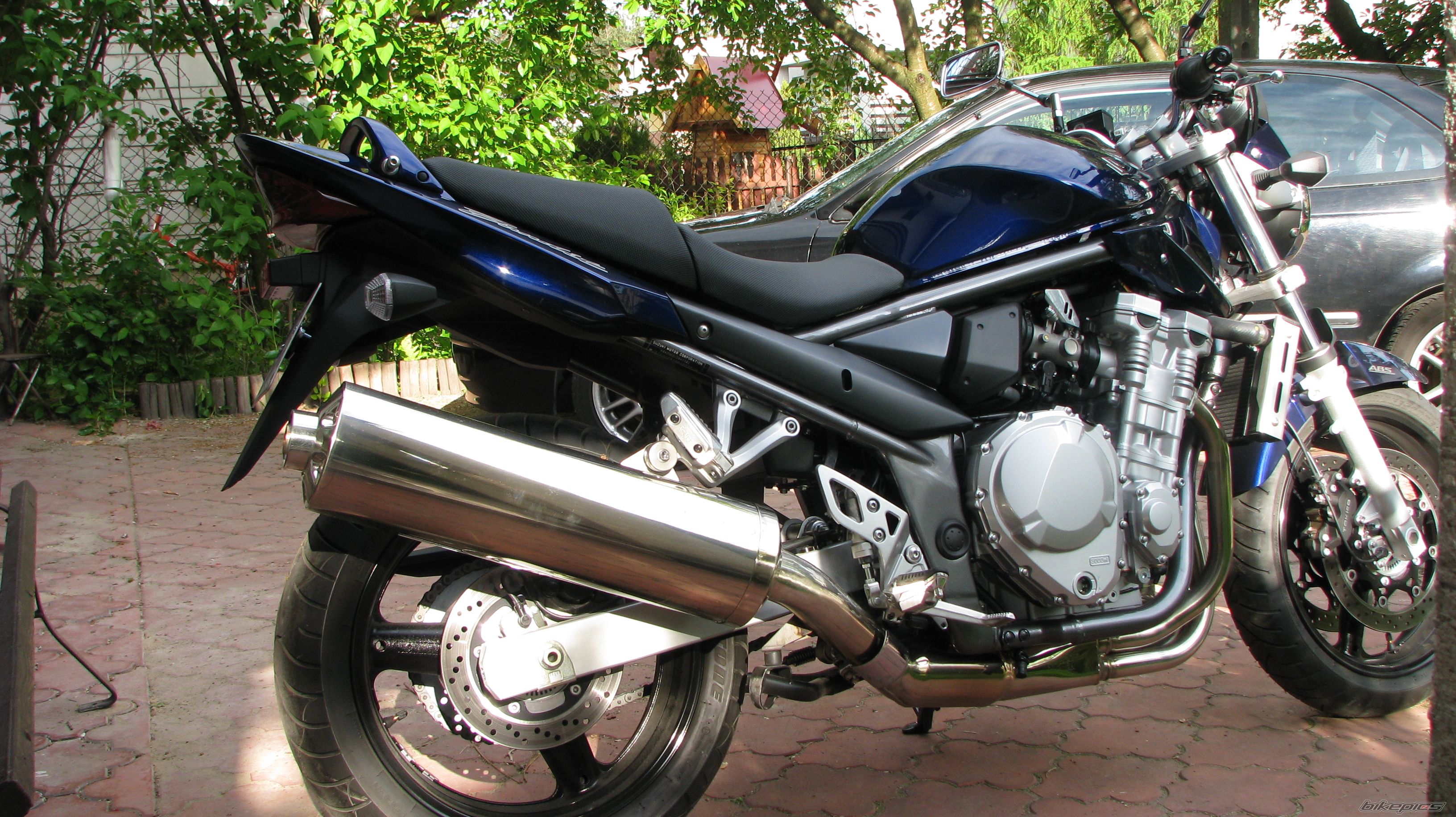 2008 SUZUKI BANDIT 650 | Picture 1310376 motorcycle photo