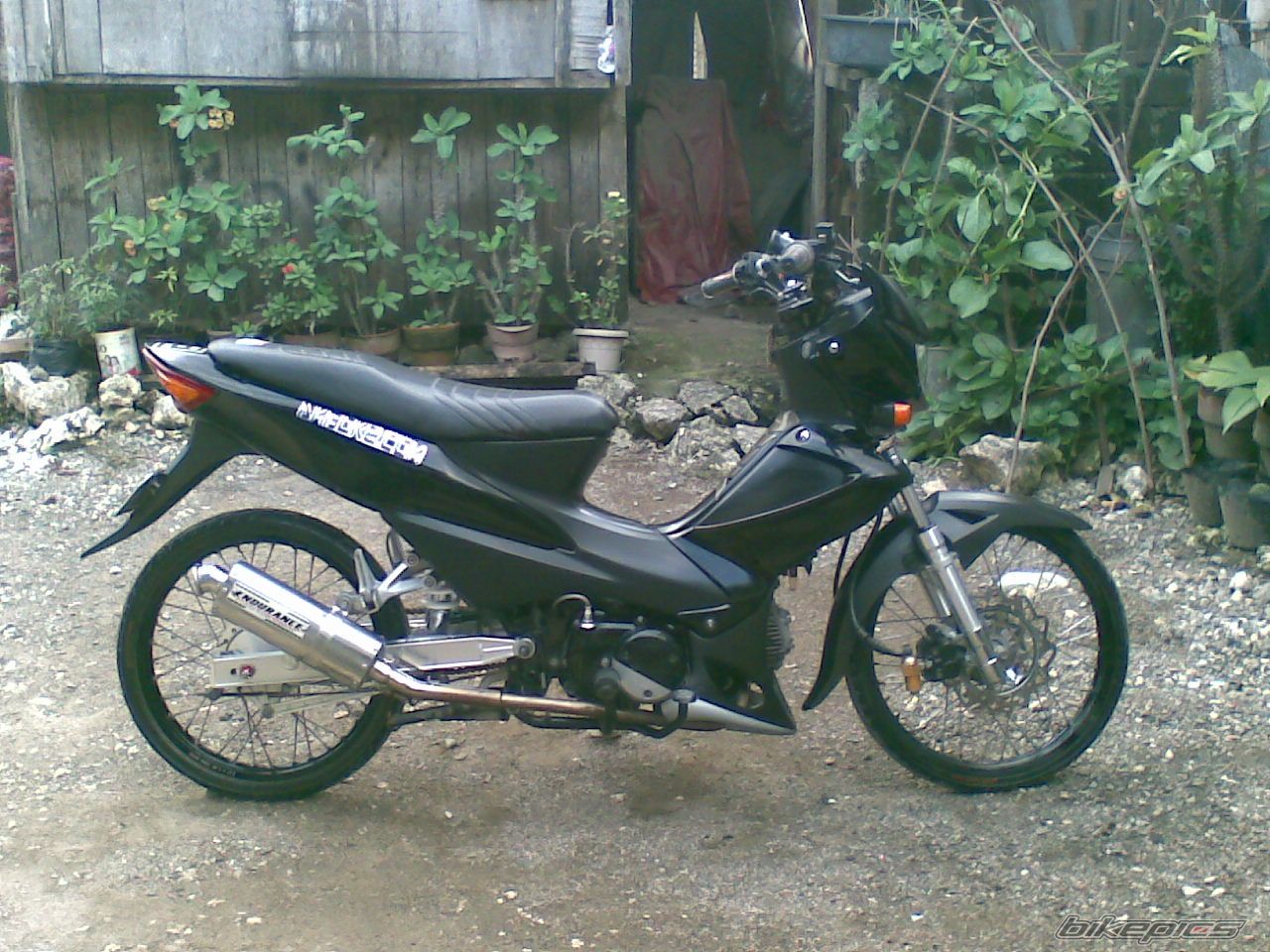 2008 HONDA WAVE ALPHA 100 | Picture 1311032 motorcycle photo