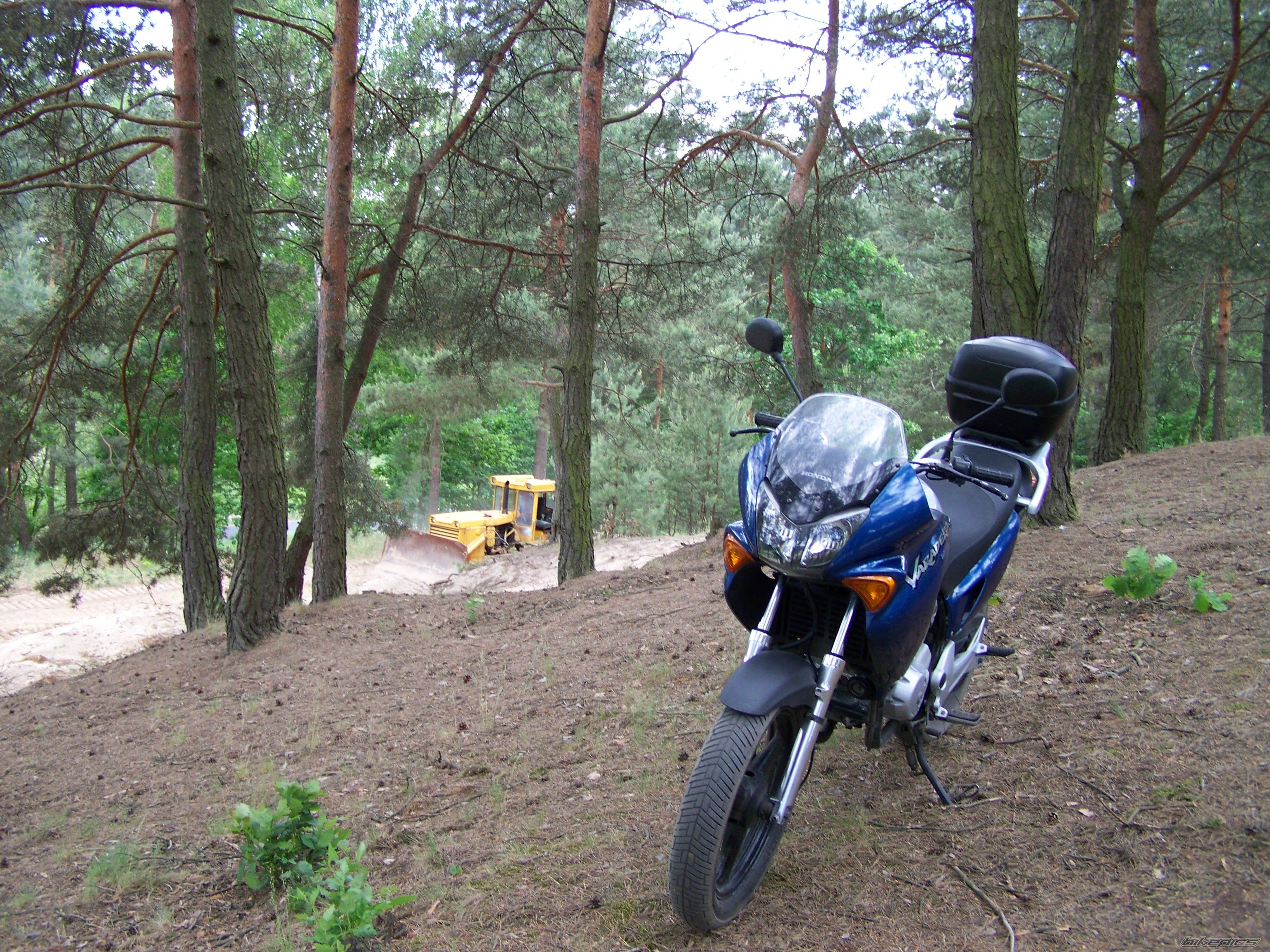 2002 HONDA XLV 125 VARADERO | Picture 1311419 motorcycle photo