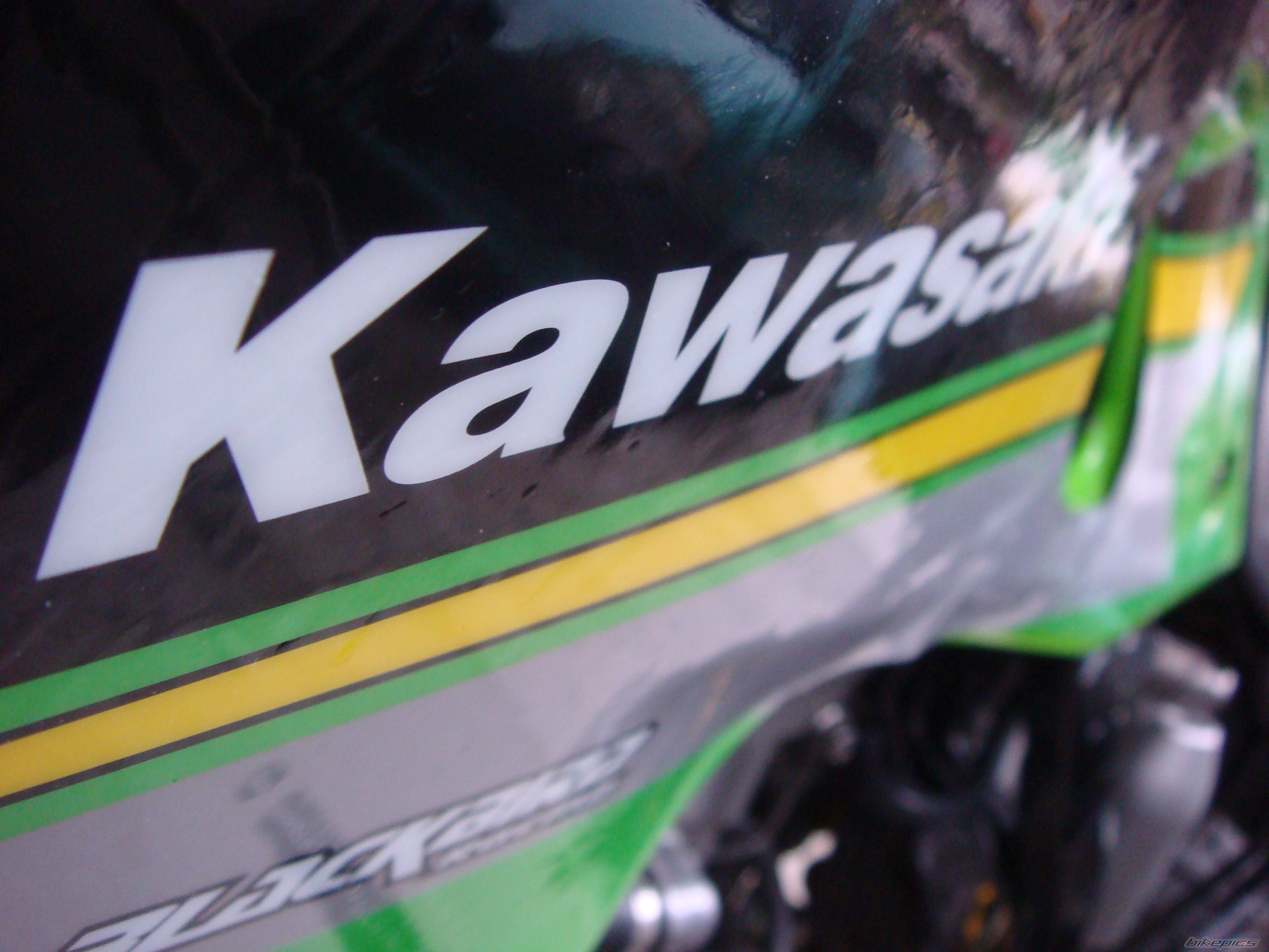 2008 KAWASAKI KLX 300 | Picture 1311667 motorcycle photo