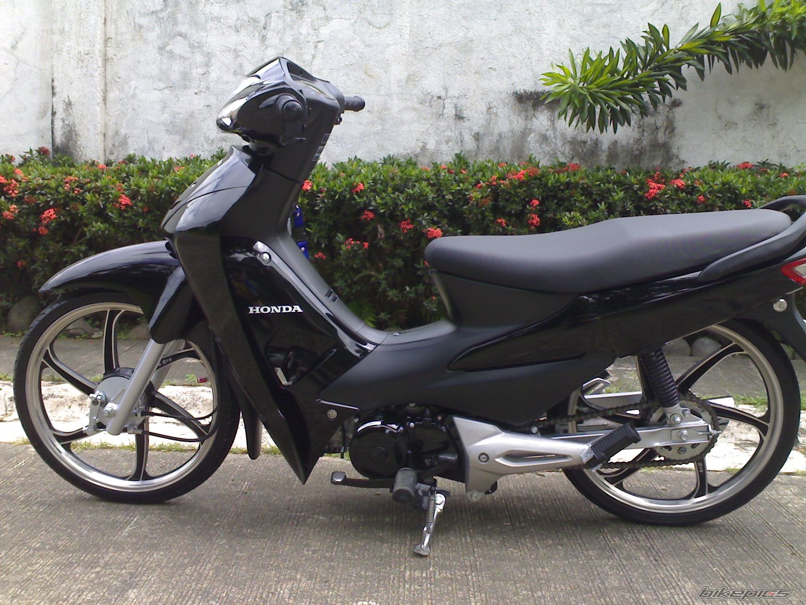 2009 HONDA WAVE 100 | Picture 1312107 motorcycle photo