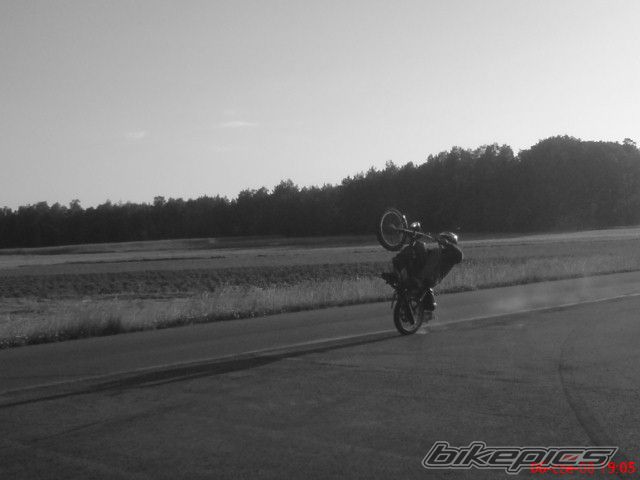 1989 ROMET OGAR 200 | Picture 1312462 motorcycle photo