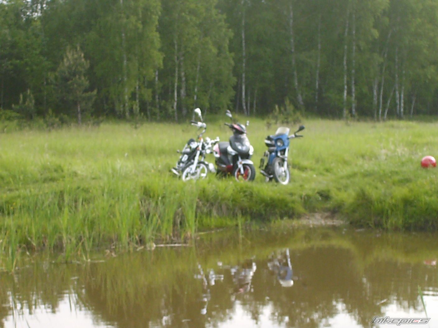 1988 SIMSON S 51 | Picture 1312802 motorcycle photo