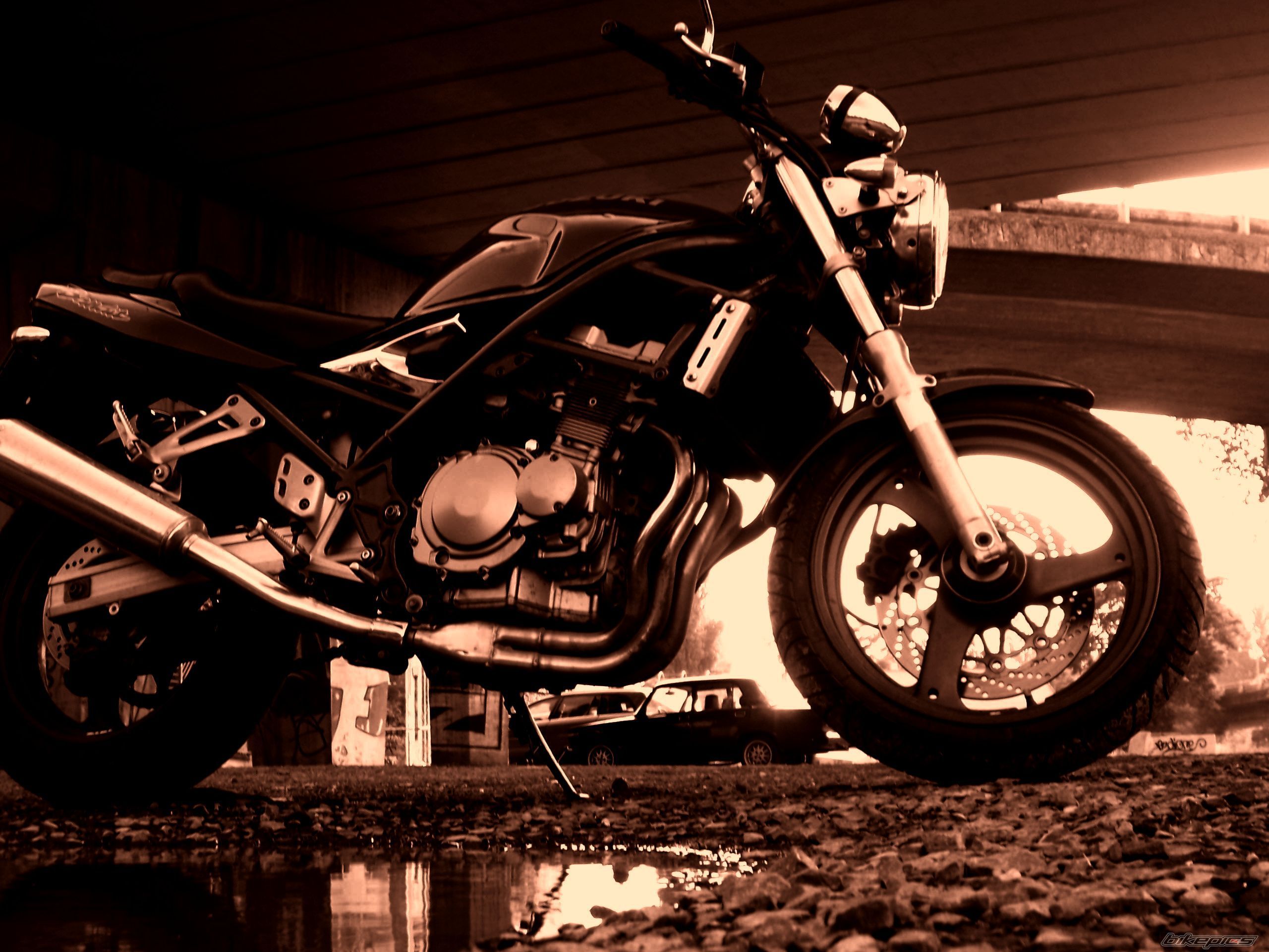 1998 SUZUKI BANDIT 250 | Picture 1313252 motorcycle photo