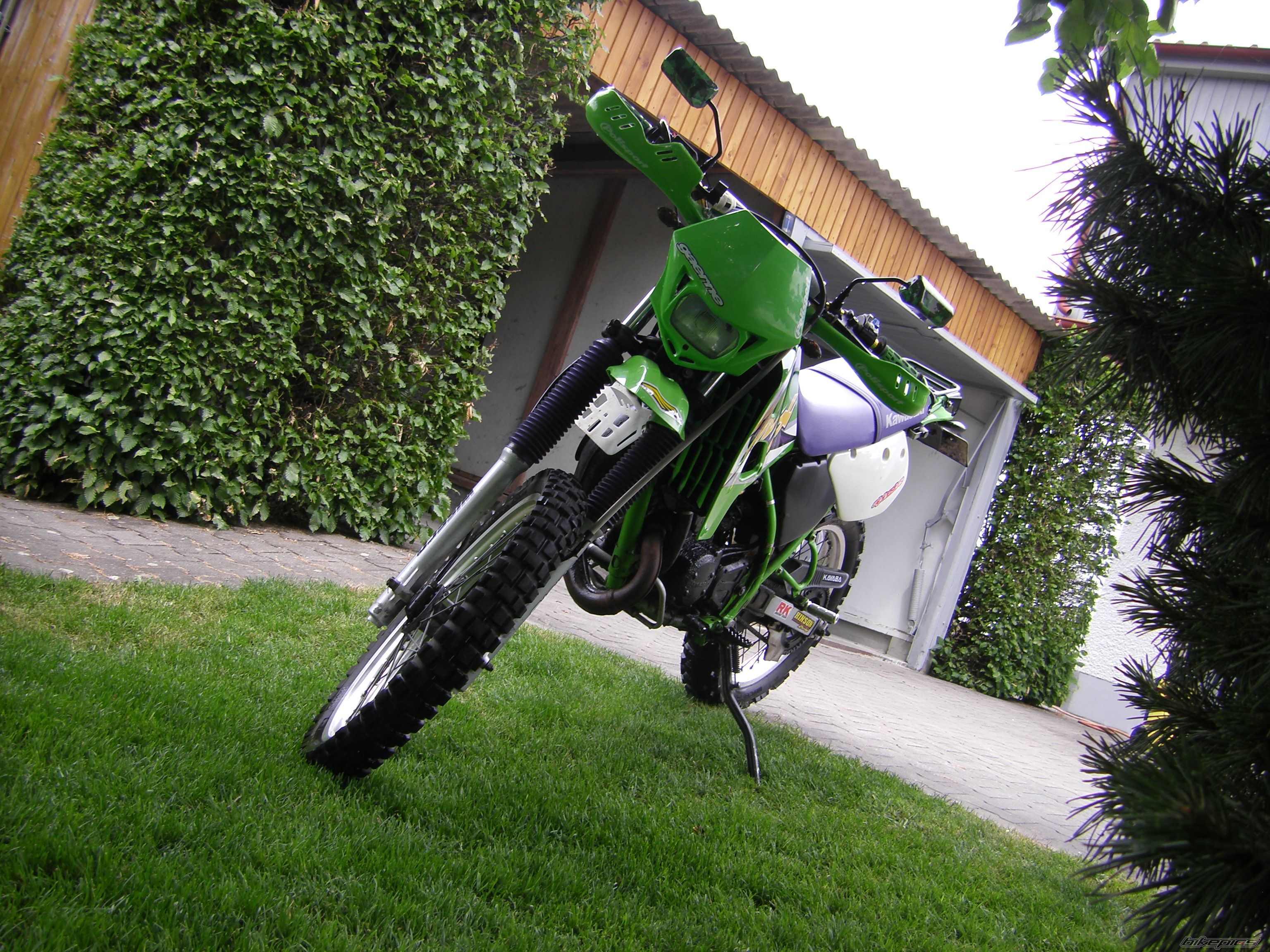 1999 KAWASAKI KMX 125 | Picture 1313893 motorcycle photo