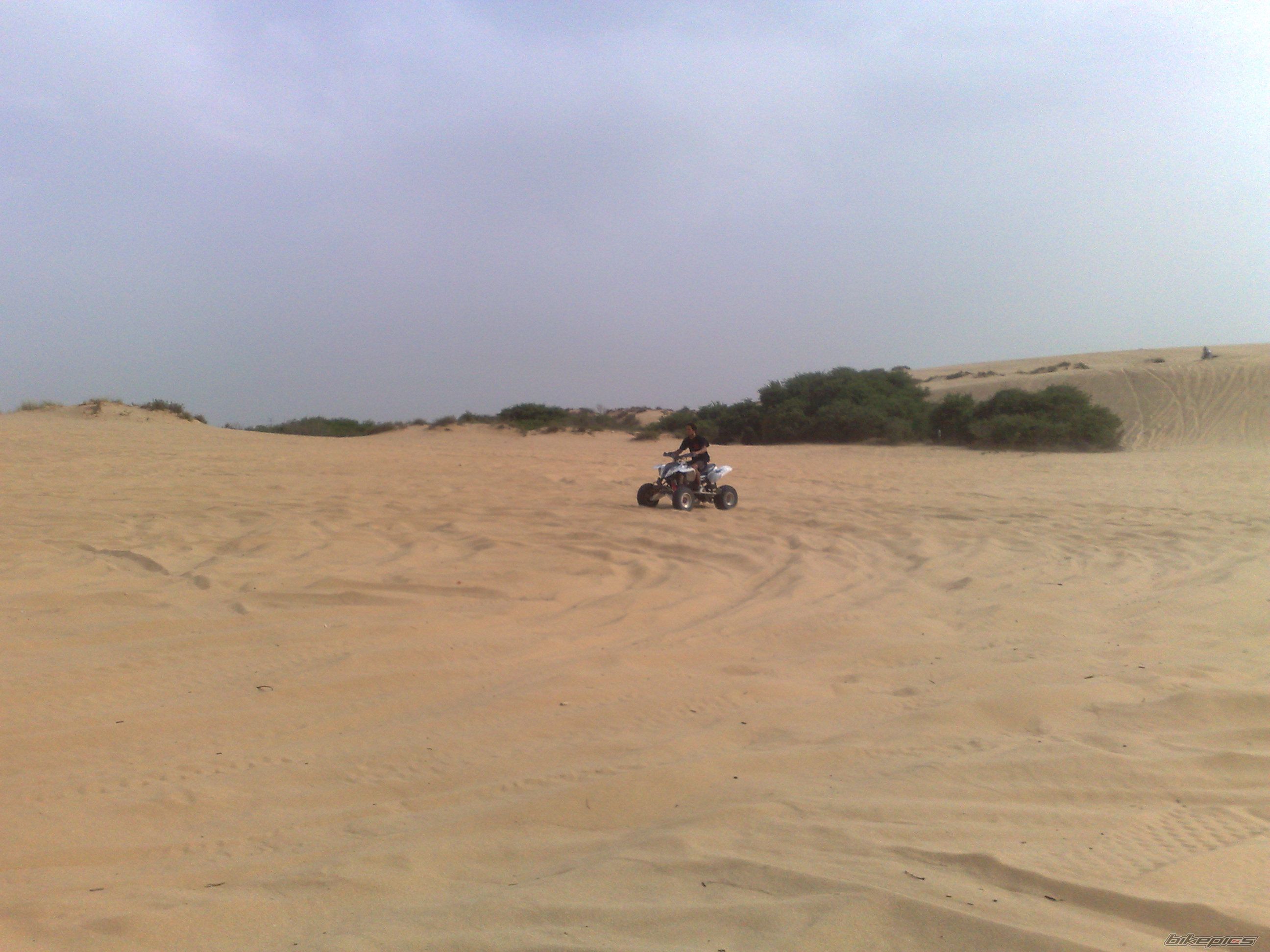 2006 POLARIS PREDATOR 500 | Picture 1314392 motorcycle photo