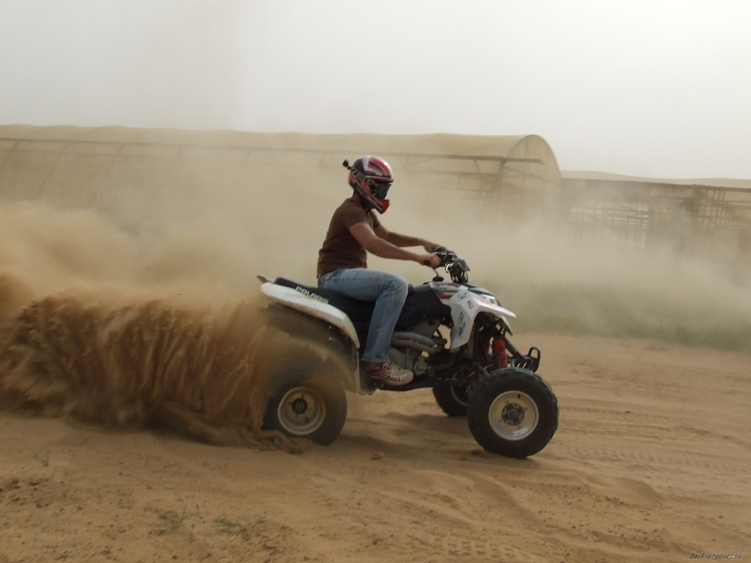 2008 POLARIS PREDATOR 500 | Picture 1315045 motorcycle photo
