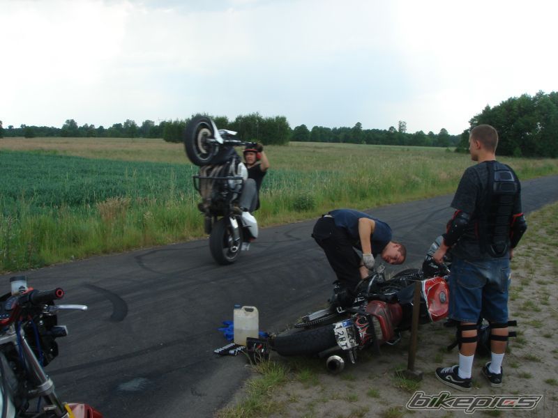1999 HONDA CBR 600 | Picture 1315270 motorcycle photo
