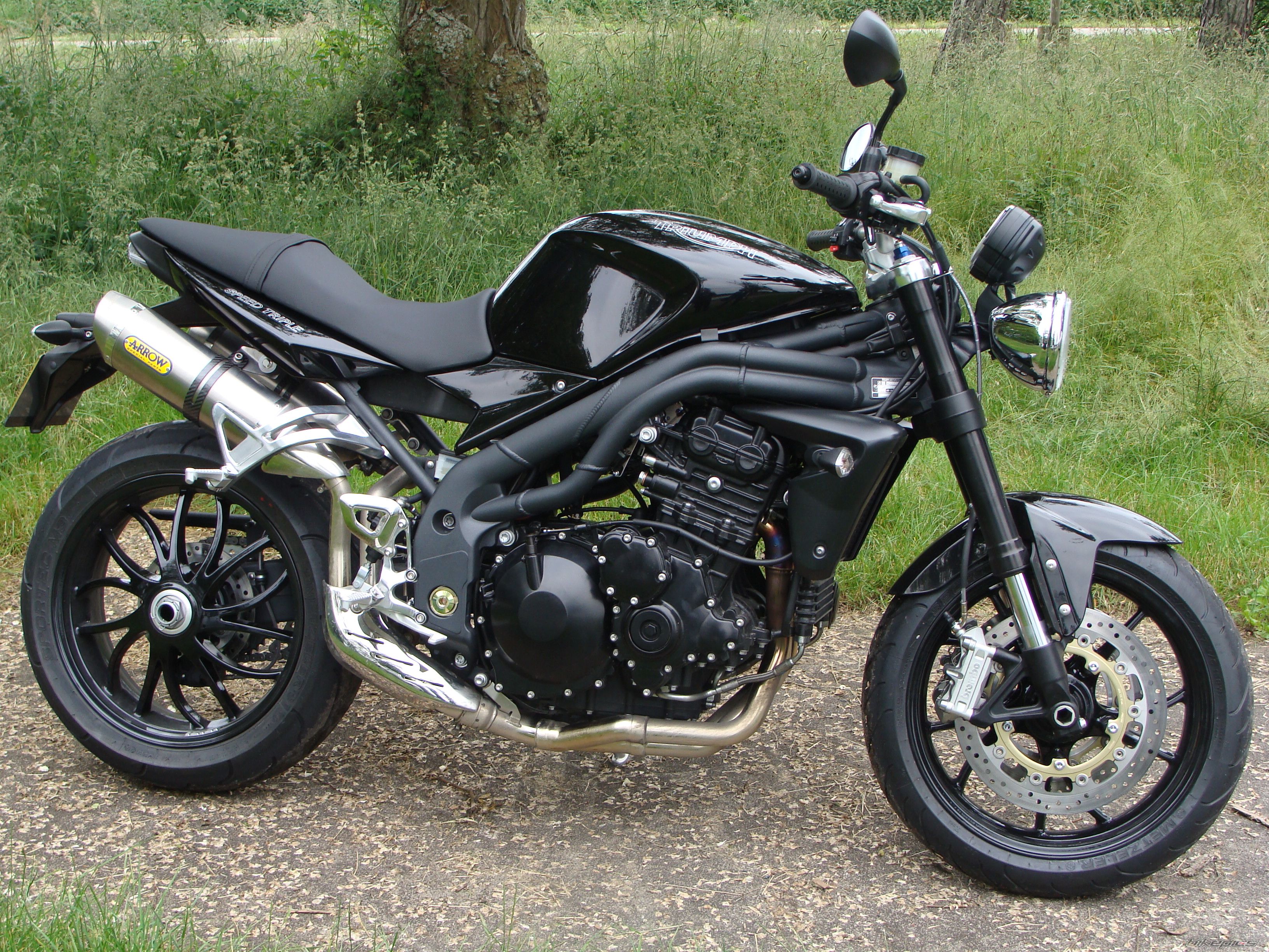 2008 TRIUMPH SPEED TRIPLE | Picture 1315526 motorcycle photo