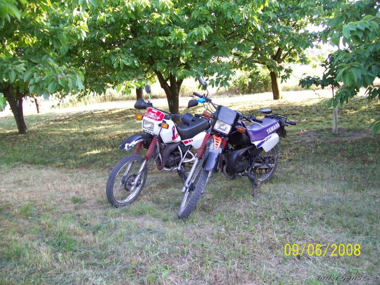 1991 YAMAHA DT 80 | Picture 1315555 motorcycle photo