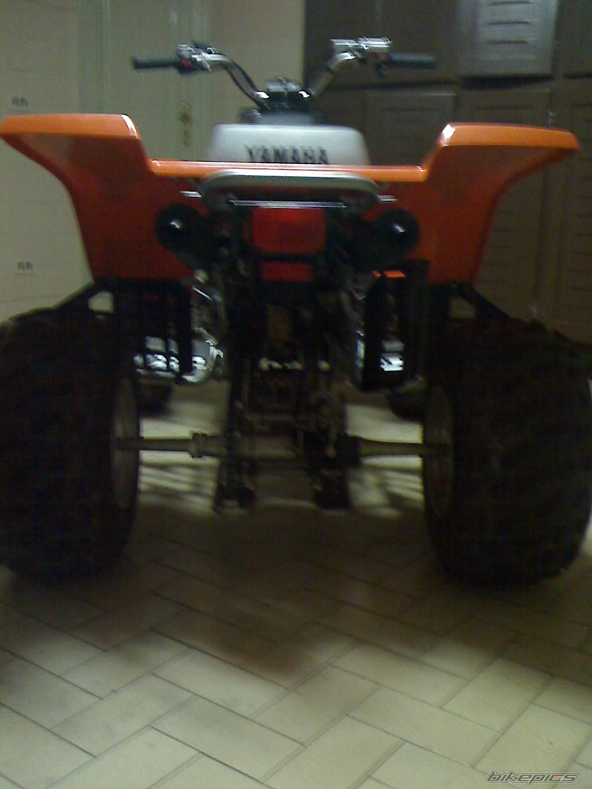 2008 YAMAHA BANSHEE | Picture 1316174 motorcycle photo