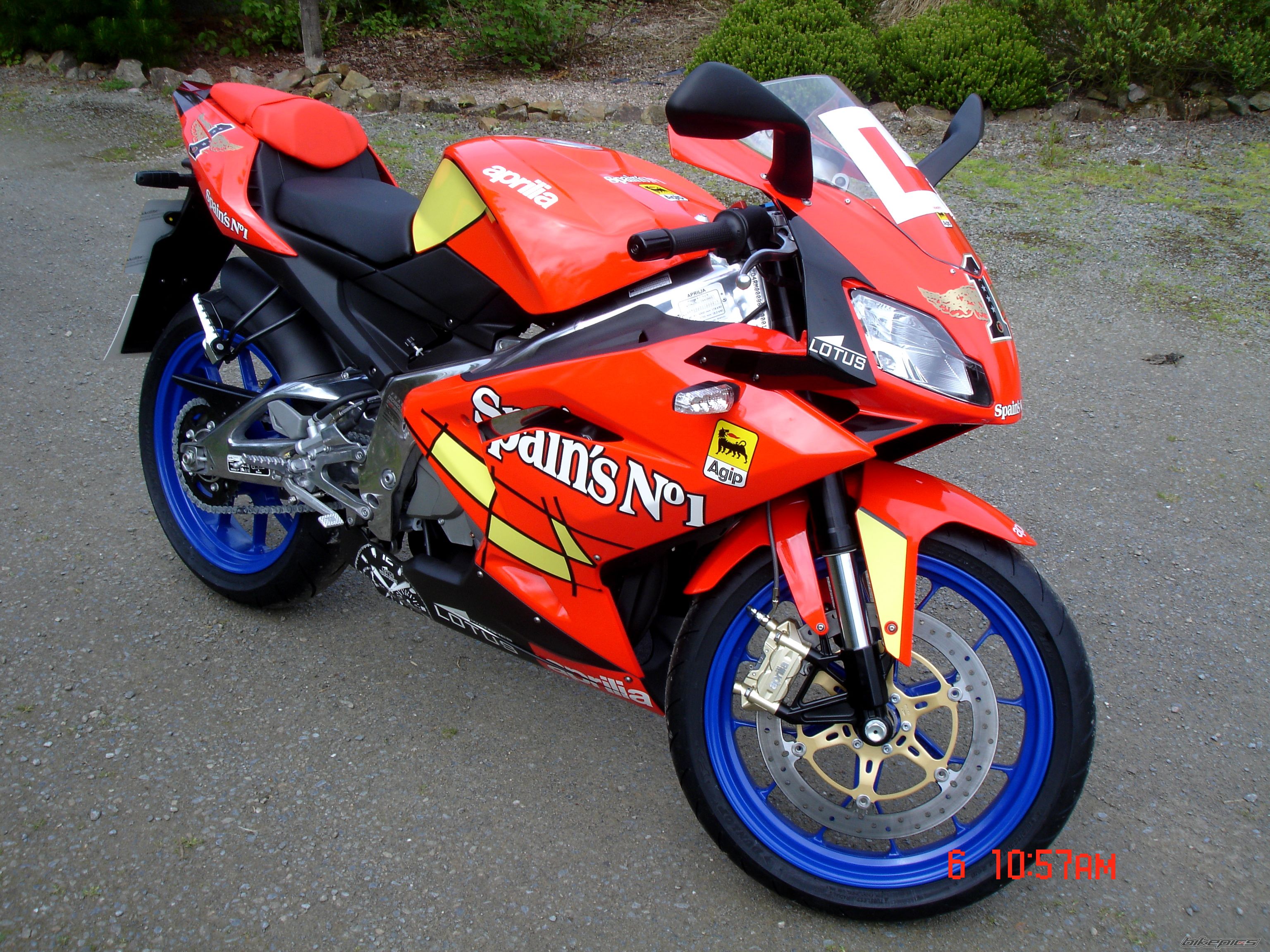 2008 APRILIA RS 125 | Picture 1316372 motorcycle photo