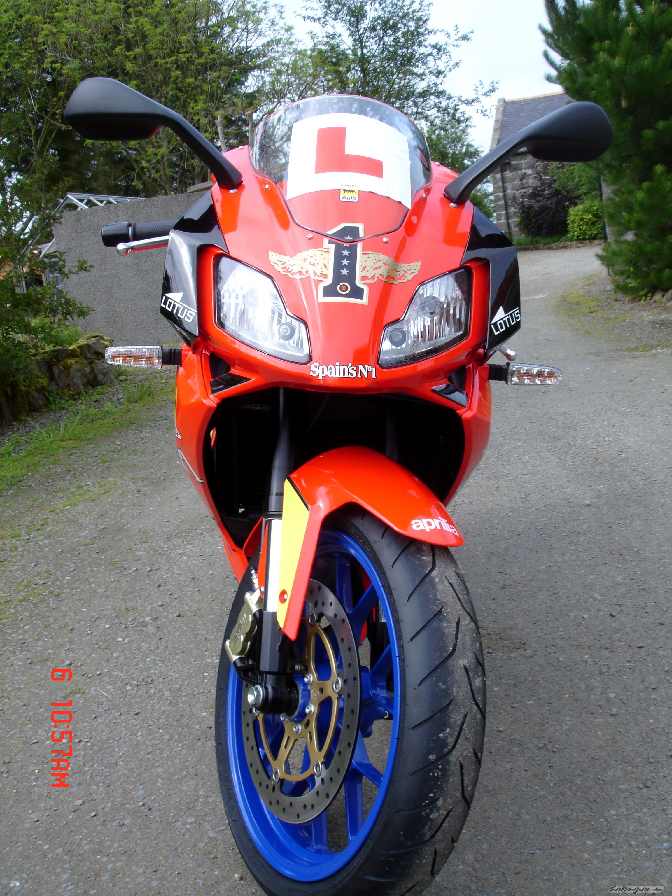 2008 APRILIA RS 125 | Picture 1316373 motorcycle photo