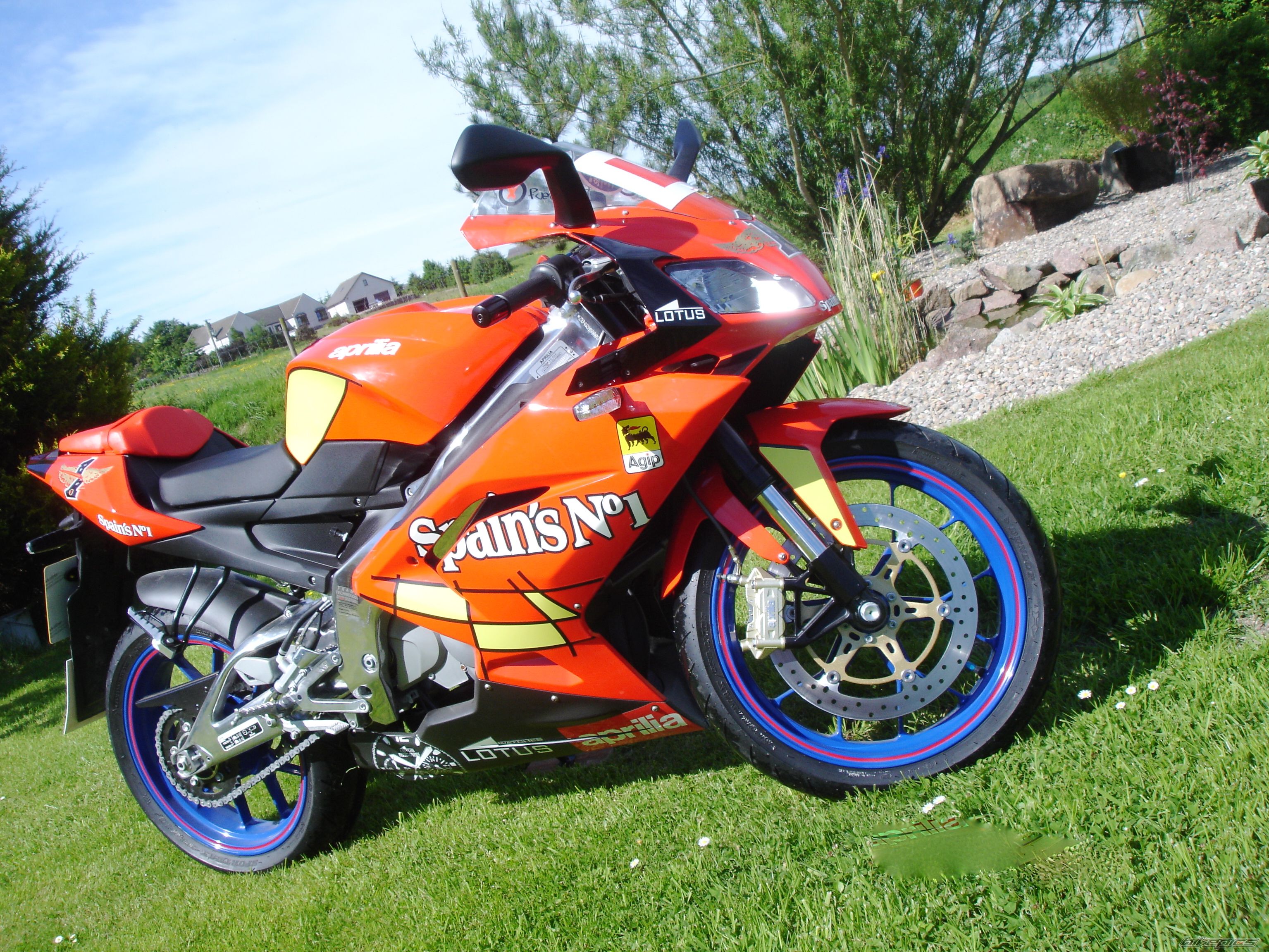 2008 APRILIA RS 125 | Picture 1316392 motorcycle photo