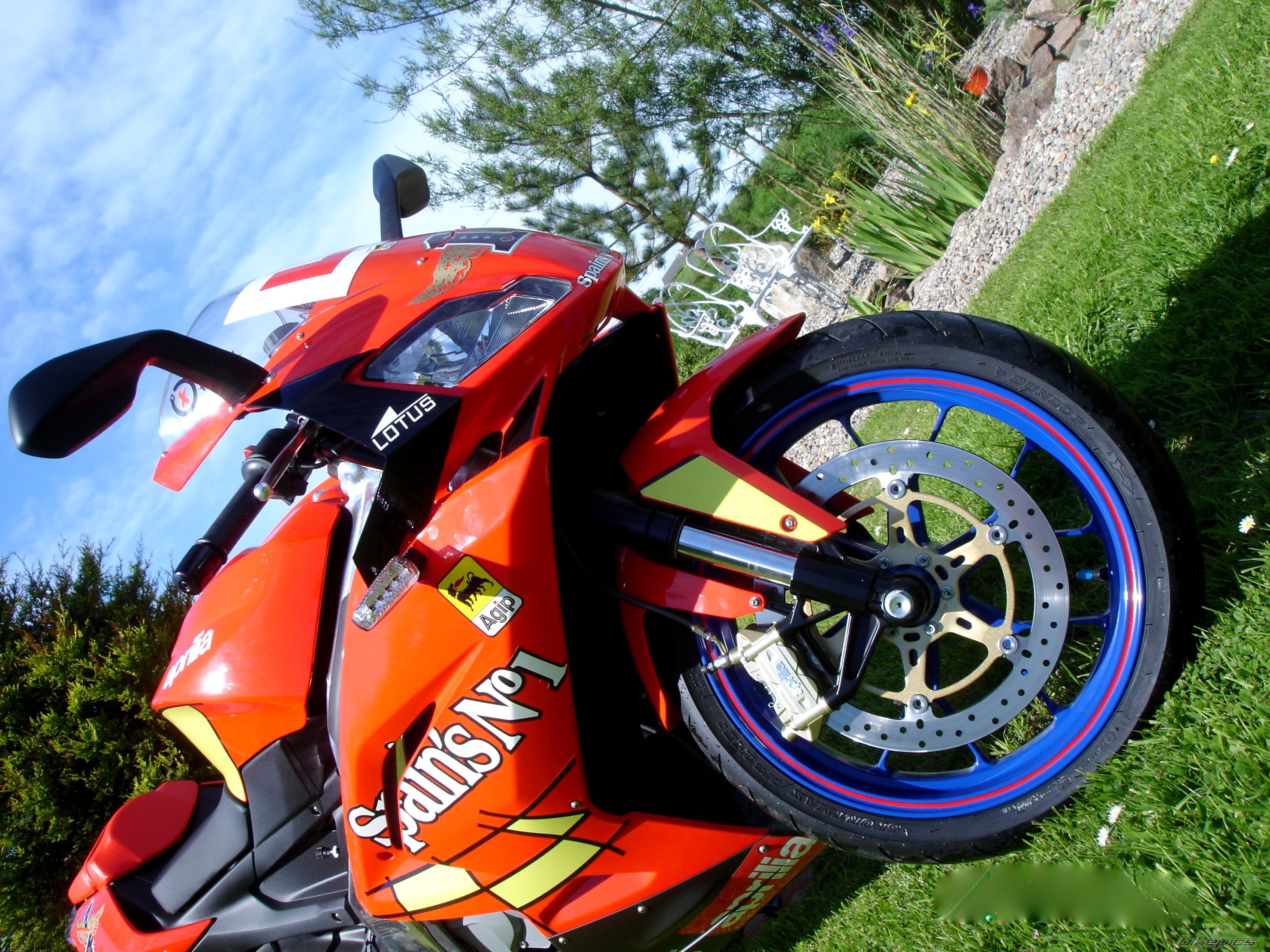 2008 APRILIA RS 125 | Picture 1316394 motorcycle photo