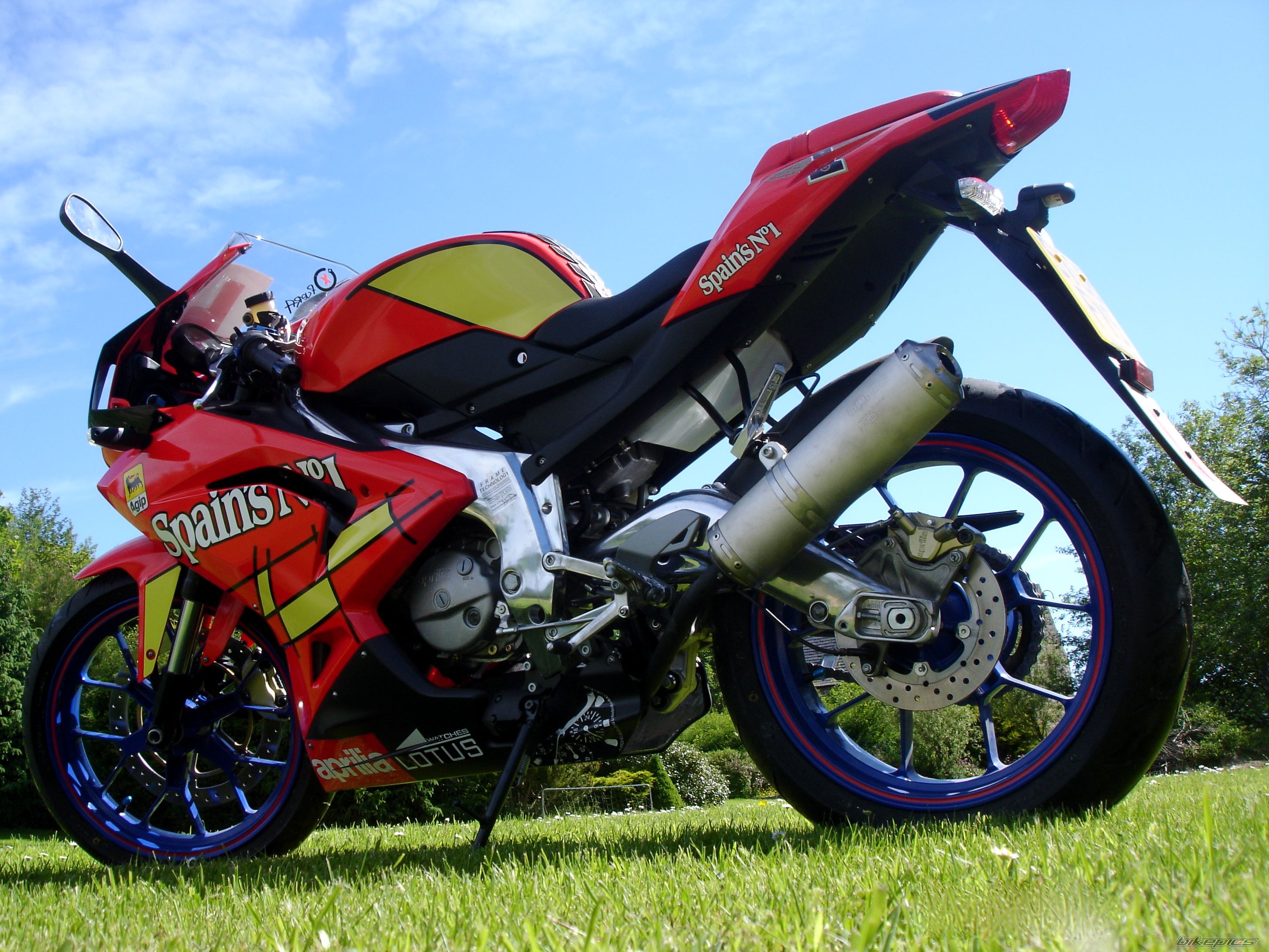 2008 APRILIA RS 125 | Picture 1316395 motorcycle photo
