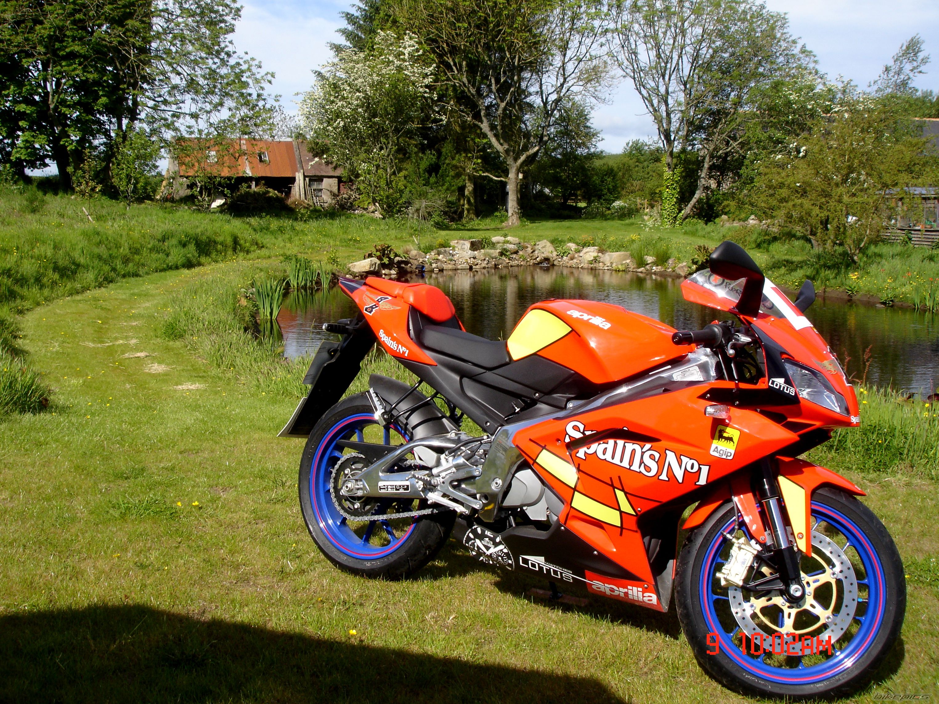 2008 APRILIA RS 125 | Picture 1316400 motorcycle photo
