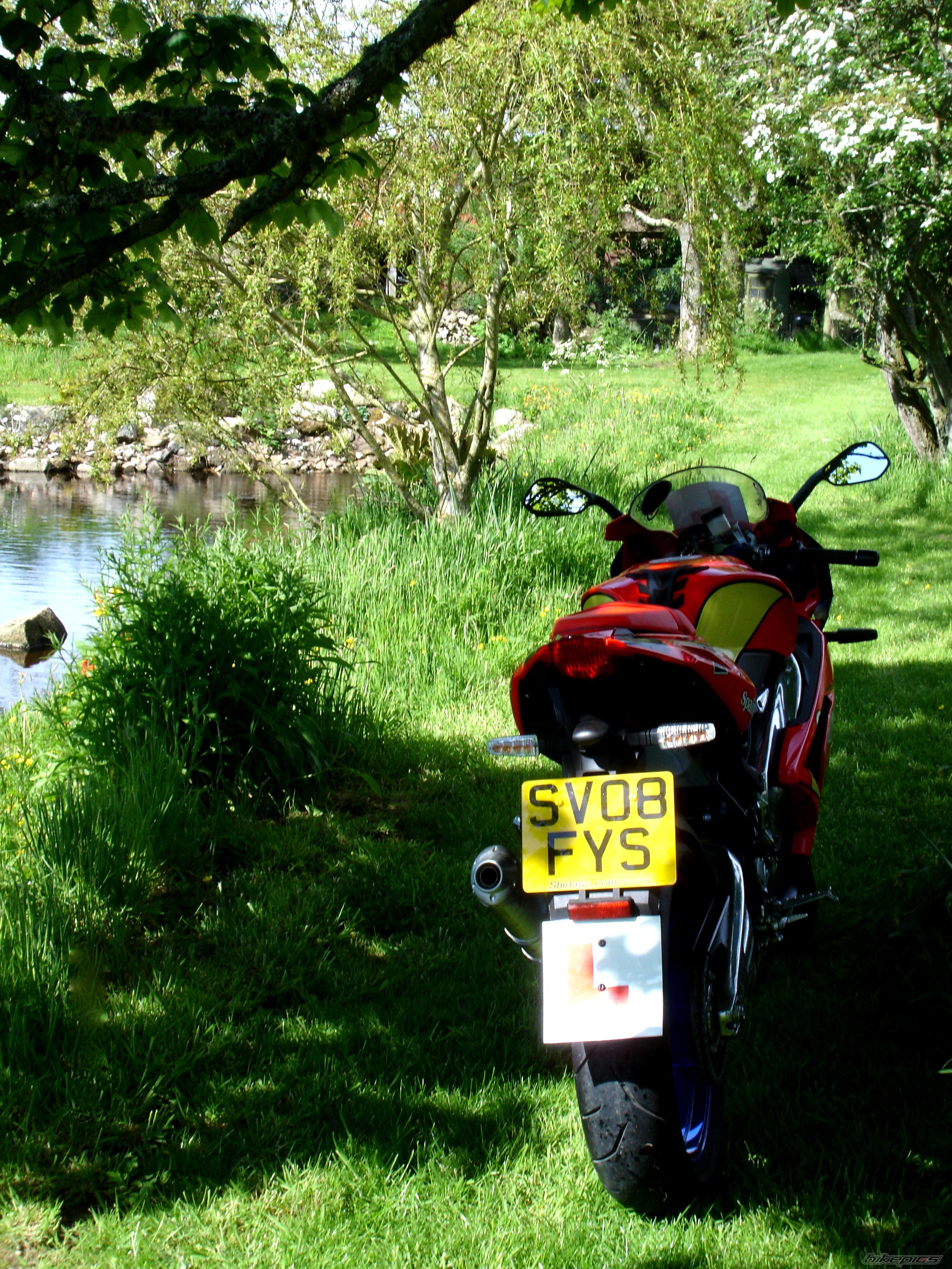 2008 APRILIA RS 125 | Picture 1316407 motorcycle photo