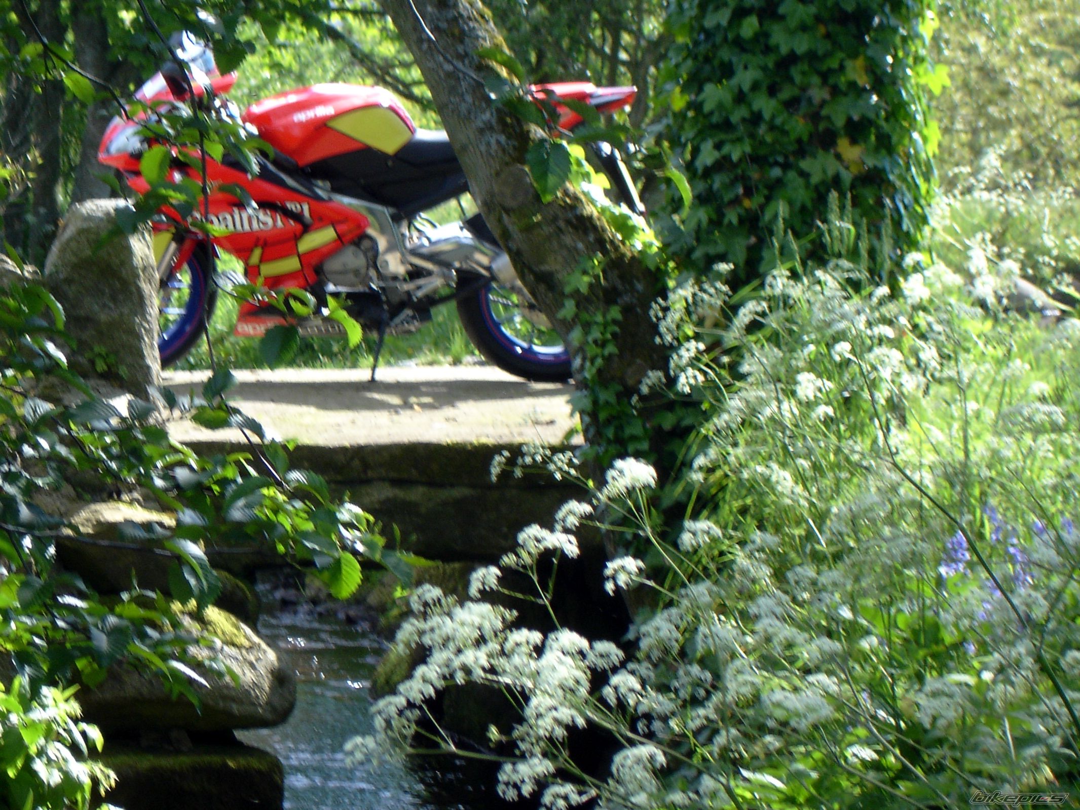 2008 APRILIA RS 125 | Picture 1316412 motorcycle photo