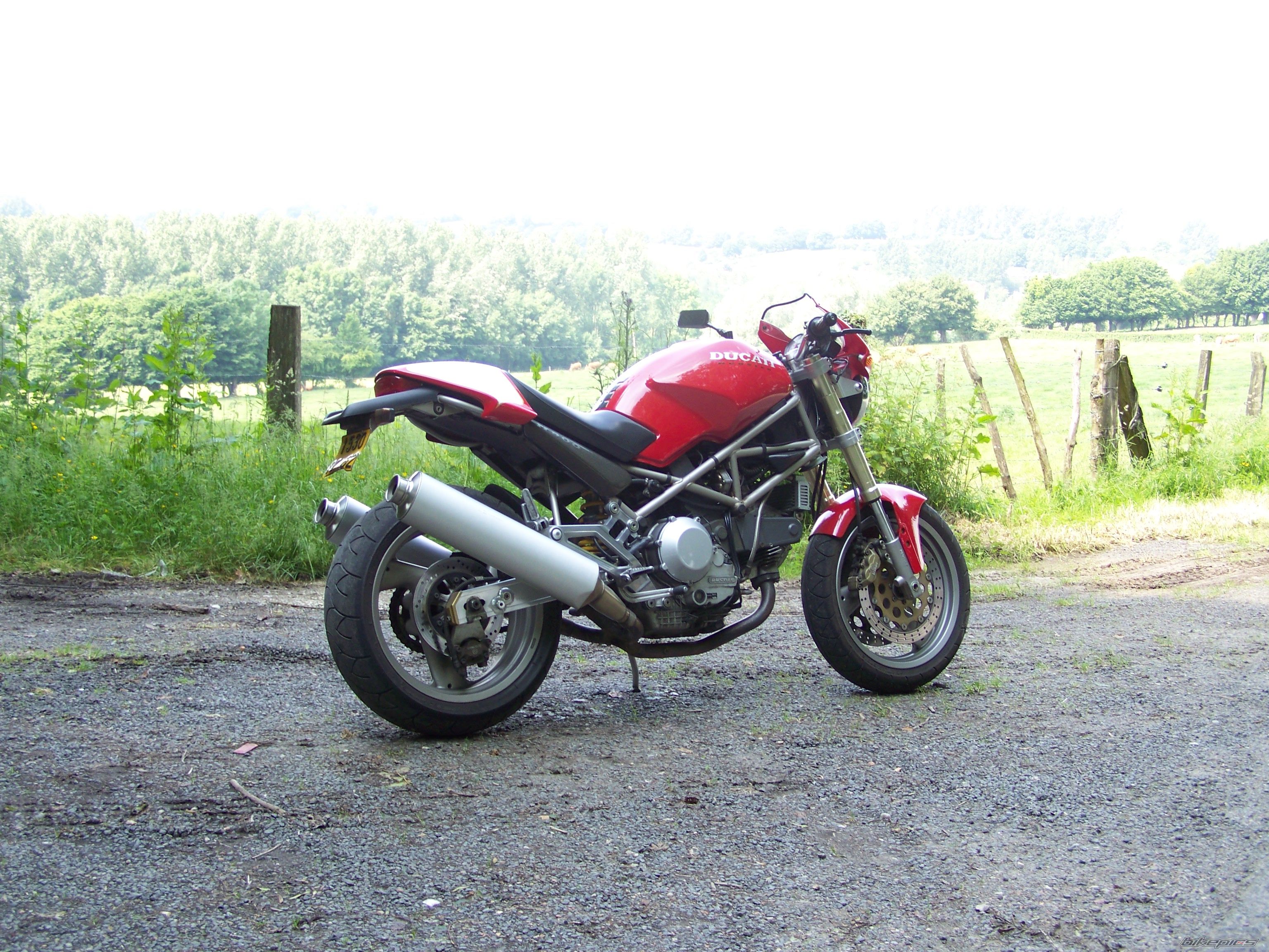 1995 DUCATI MONSTER 900 | Picture 1316413 motorcycle photo