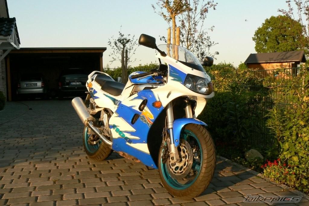 1995 SUZUKI GSX R 1100 | Picture 1316470 motorcycle photo