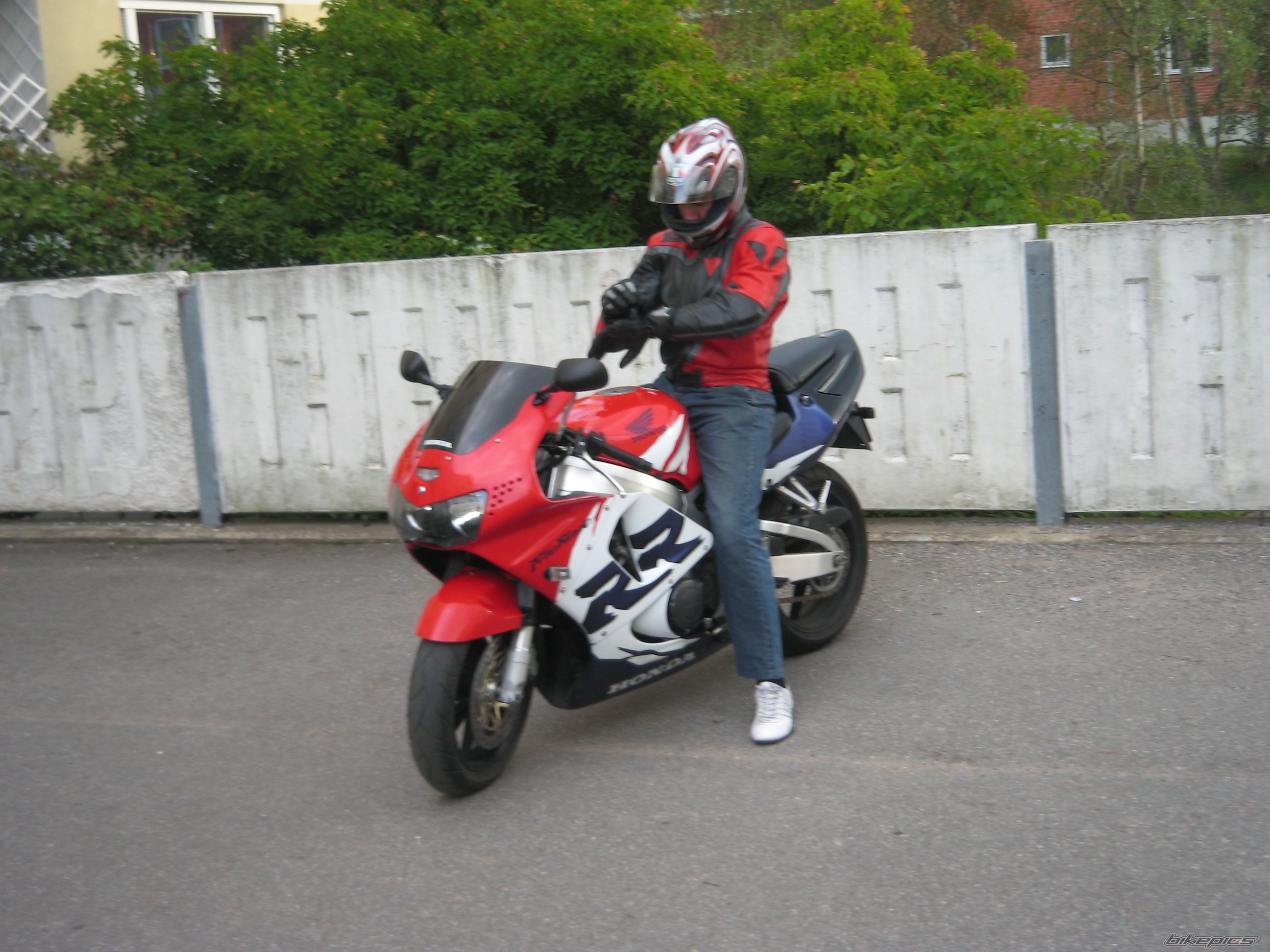 1999 HONDA CBR 900 | Picture 1316510 motorcycle photo