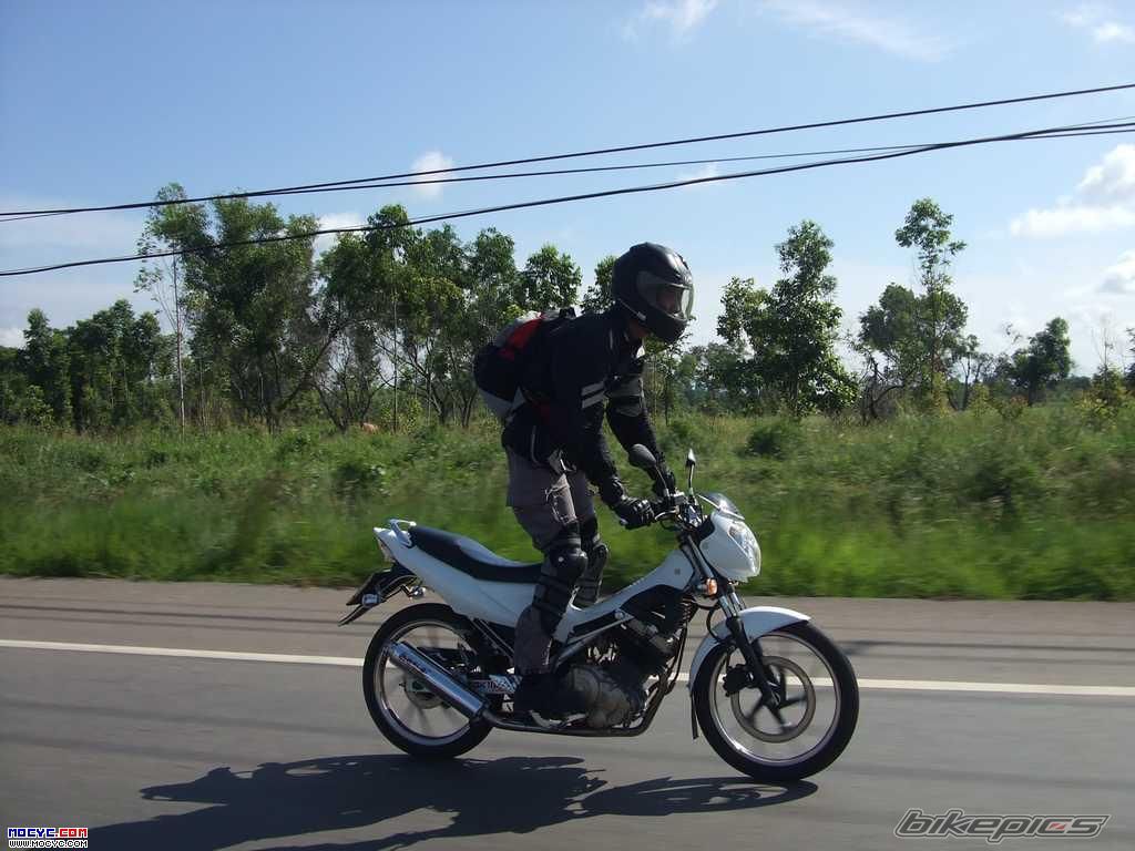 2008 SUZUKI RAIDER 150 | Picture 1316855 motorcycle photo