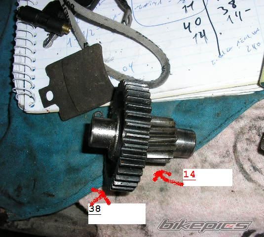 2004 PIAGGIO NTT 50 | Picture 1317029 motorcycle photo