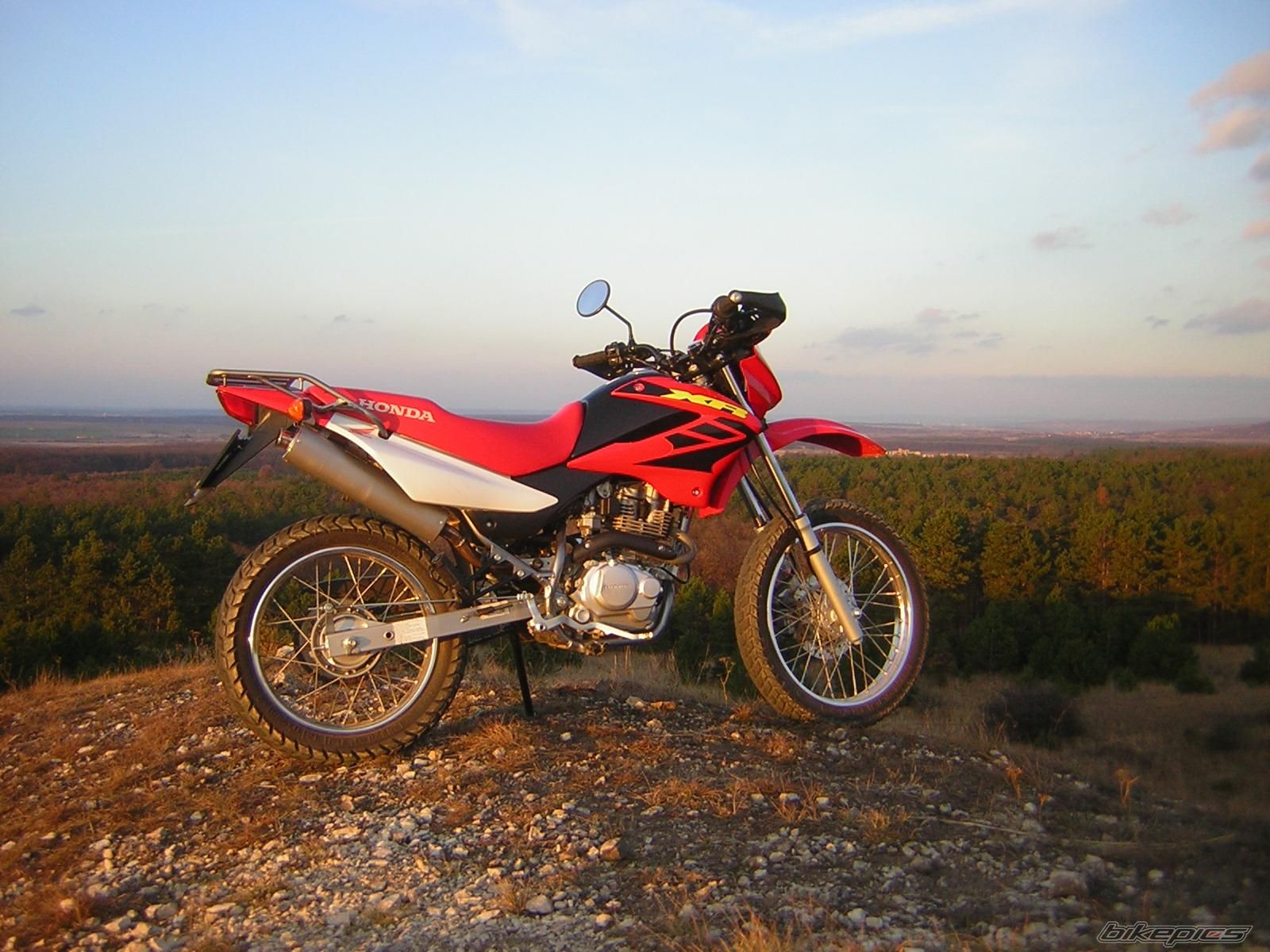 2008 HONDA XR 125 | Picture 1317165 motorcycle photo