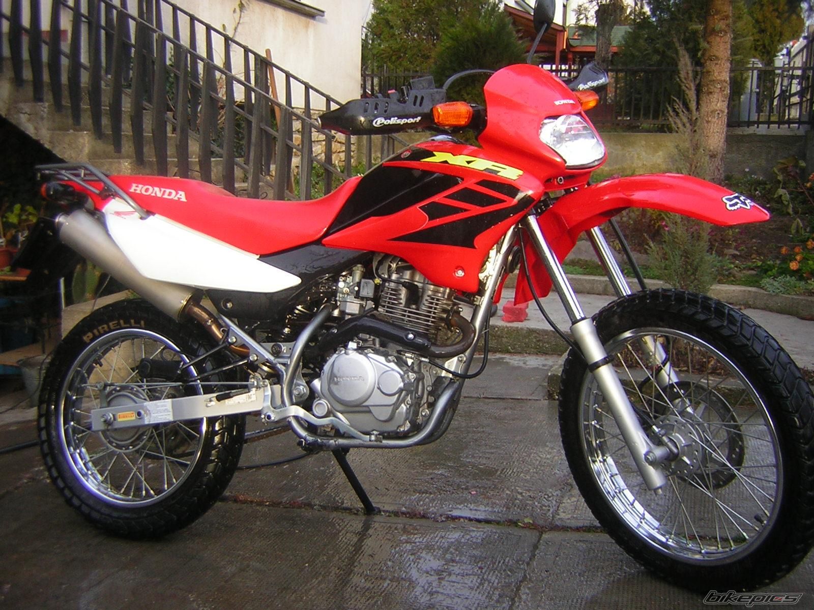 2008 HONDA XR 125 | Picture 1317171 motorcycle photo
