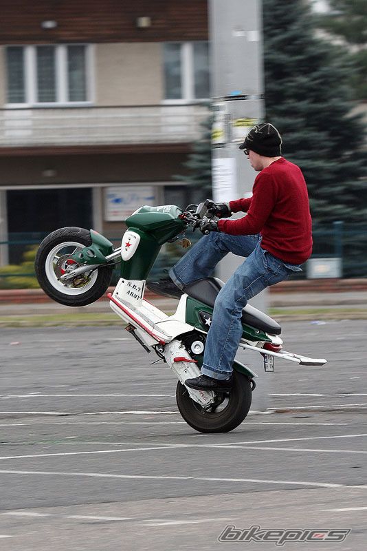 2003 YAMAHA EW 50 SLIDER | Picture 1317308 motorcycle photo