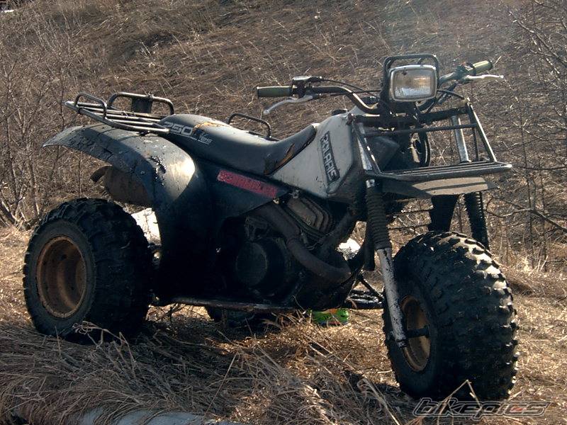 1986 POLARIS SCRAMBLER 250 | Picture 131764 motorcycle photo