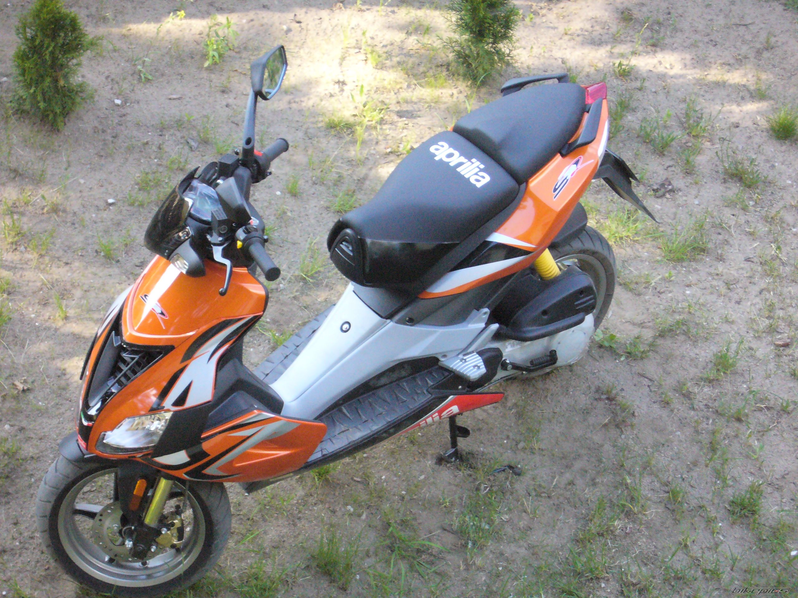 2008 APRILIA SR 50 | Picture 1318584 motorcycle photo