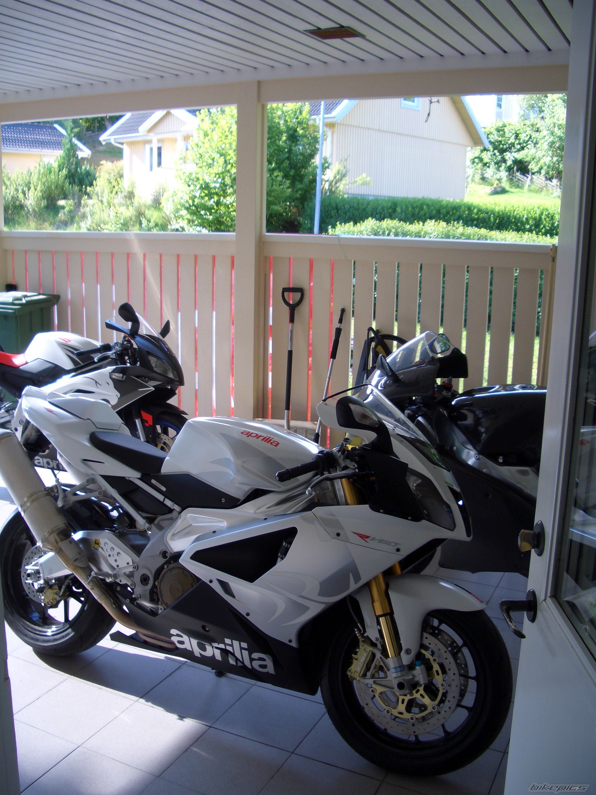 2008 APRILIA RSV 1000R MILLE | Picture 1318803 motorcycle photo