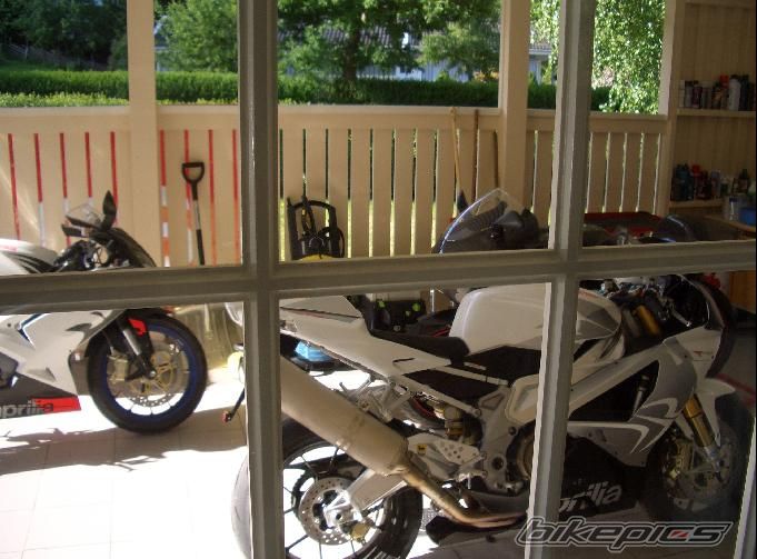 2008 APRILIA RSV 1000R MILLE | Picture 1318822 motorcycle photo