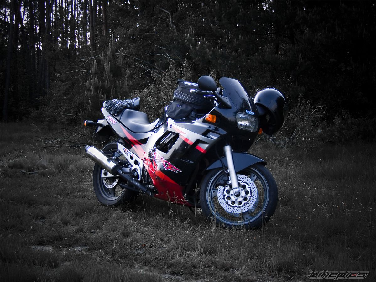 1997 SUZUKI GSX 600 | Picture 1318949 motorcycle photo