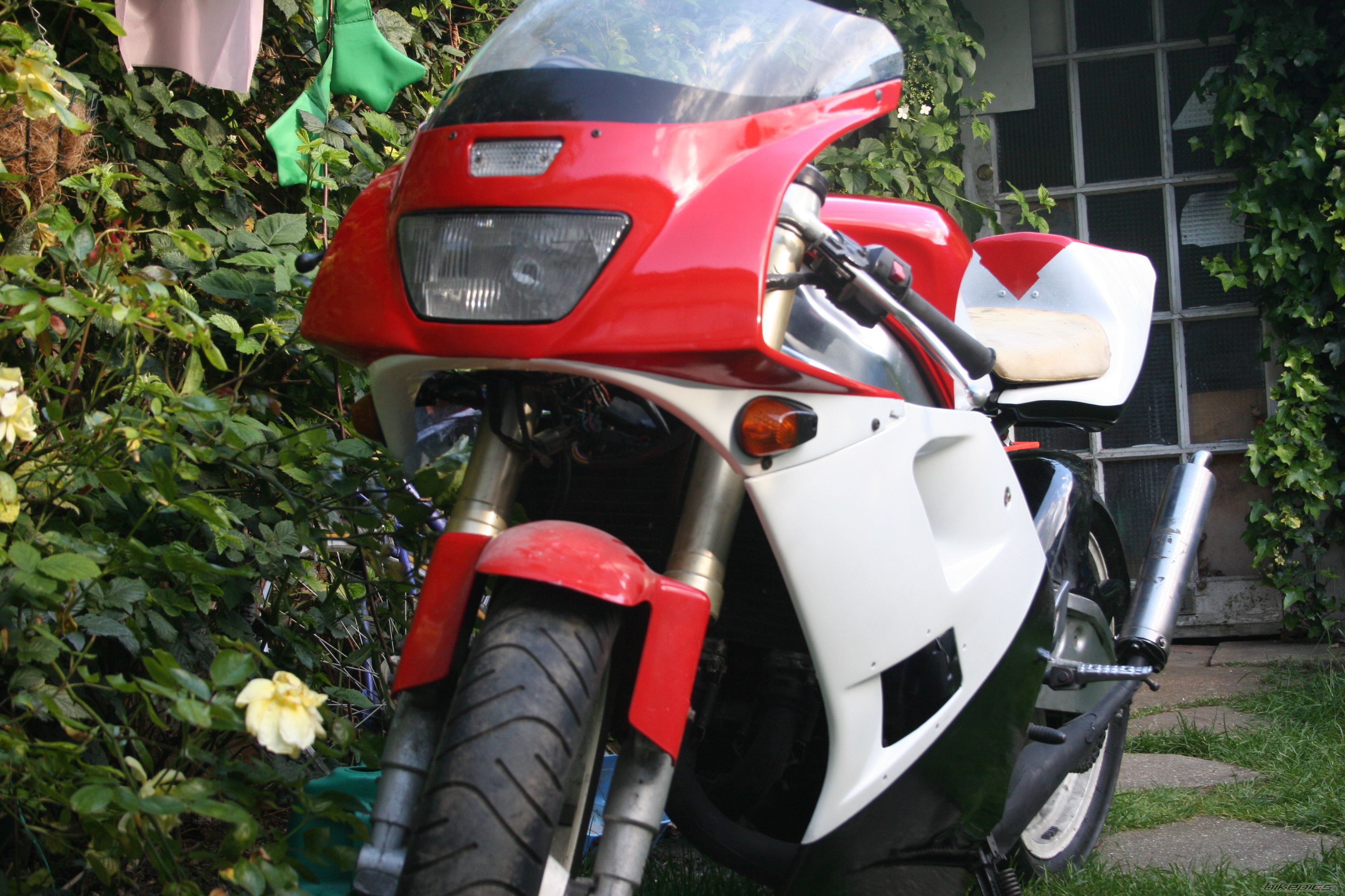 1995 YAMAHA TZR 125 | Picture 1318996 motorcycle photo