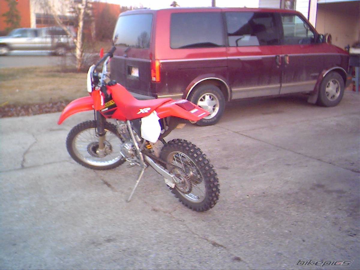 2001 HONDA XR 250 | Picture 131902 motorcycle photo